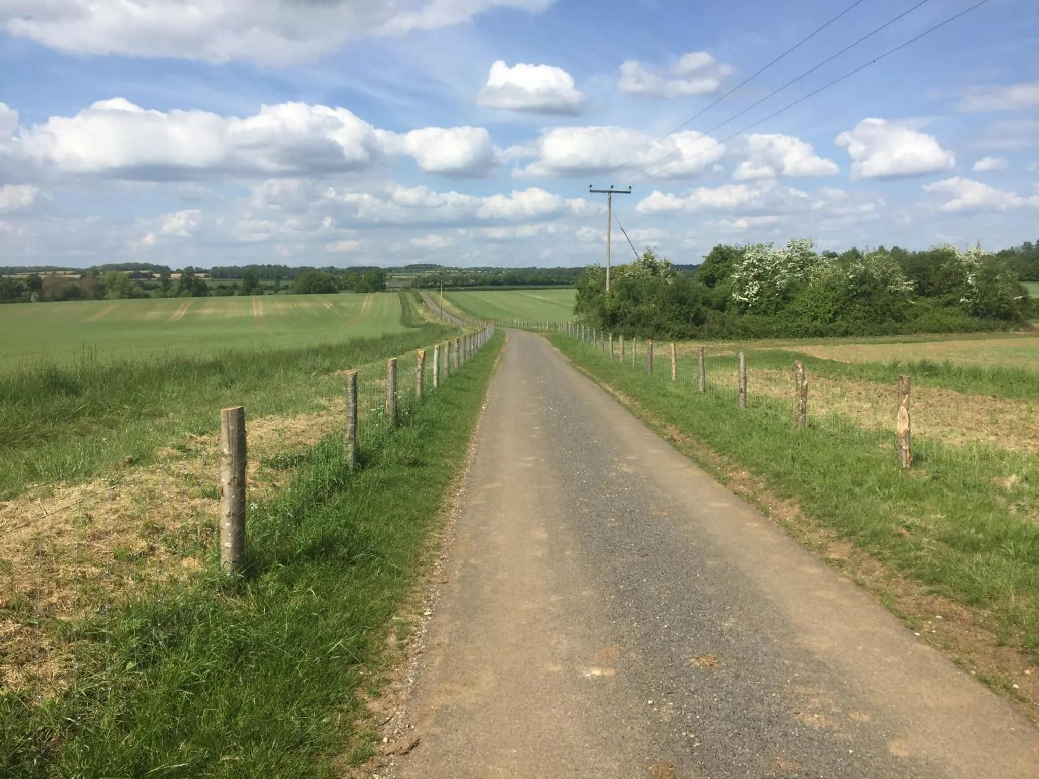 Natural landscape in Mulberry Barn