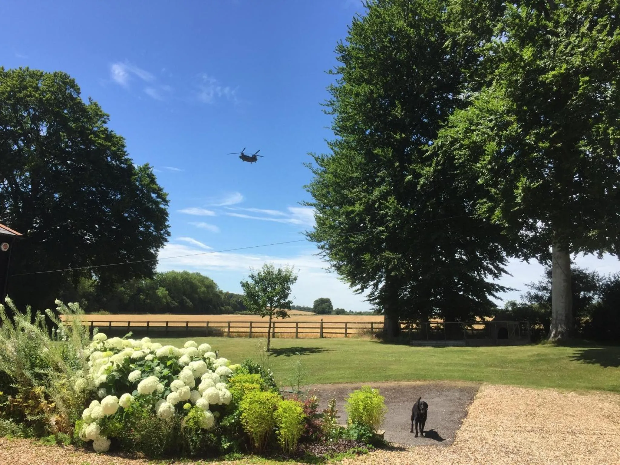 Natural landscape in Mulberry Barn