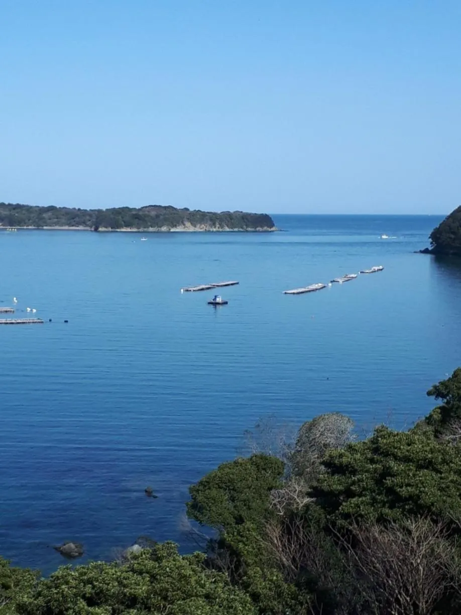 Sea view in Wisterian Life Club Toba