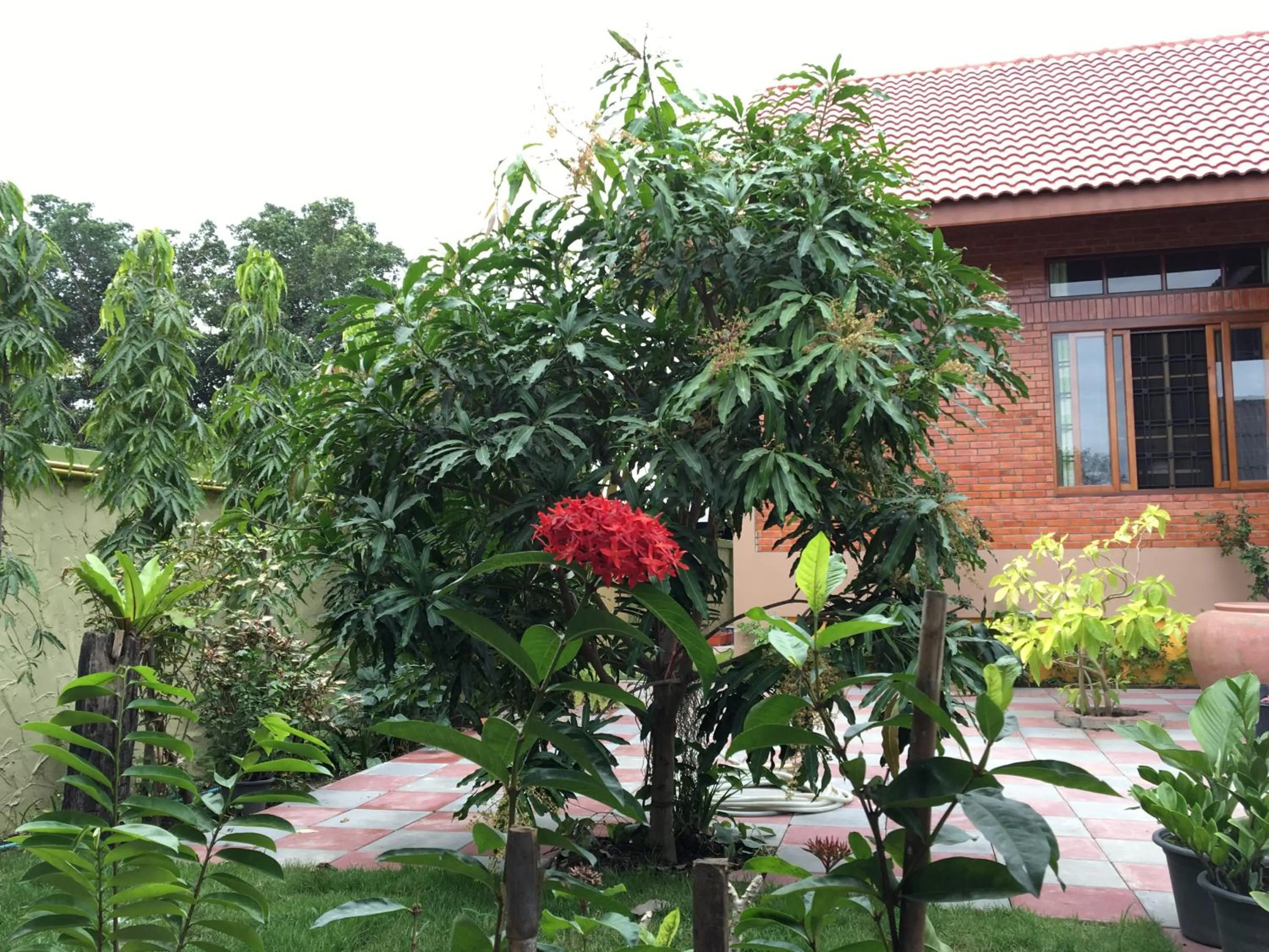 Garden in Baan Penny