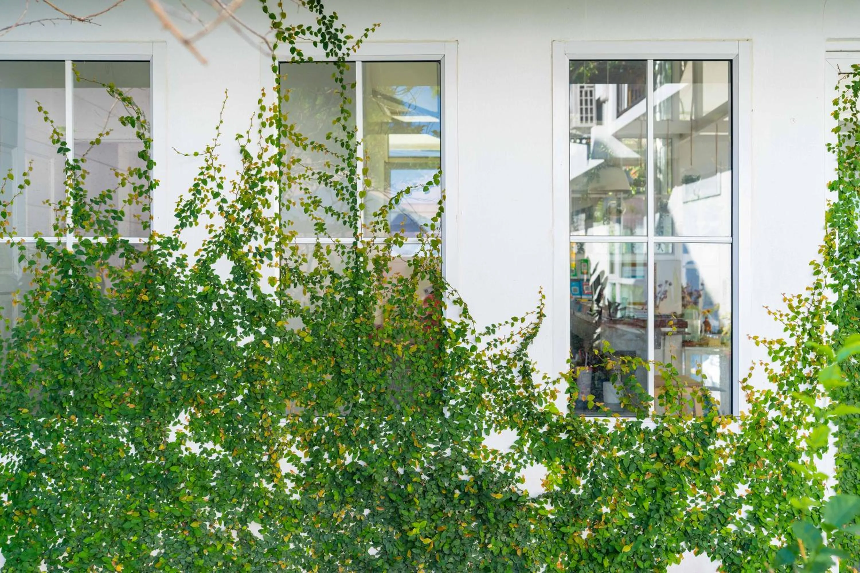 Mammoth Boutique Hotel