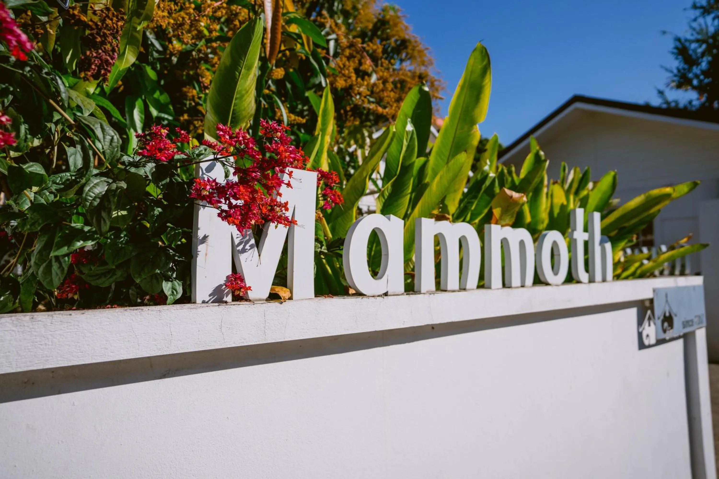 Mammoth Boutique Hotel