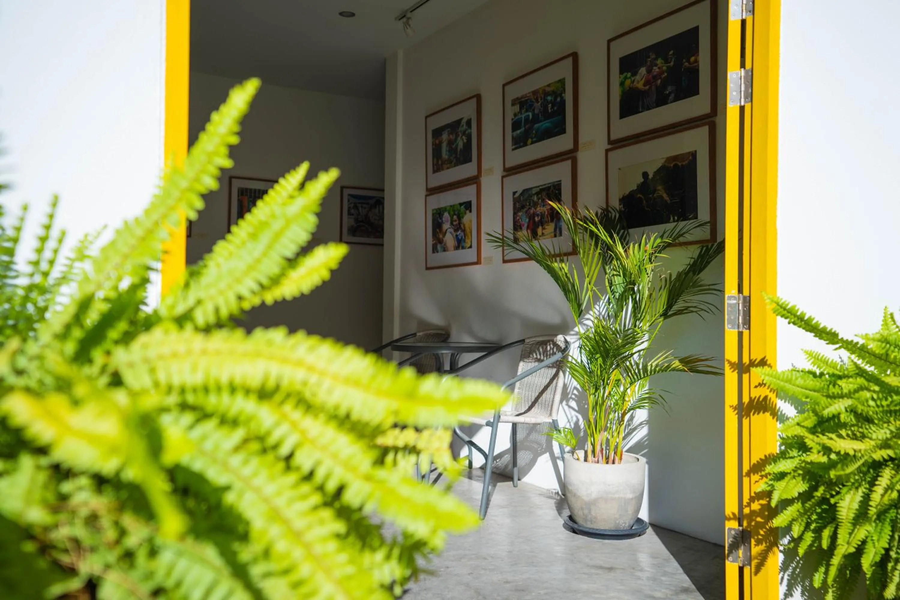 Mammoth Boutique Hotel