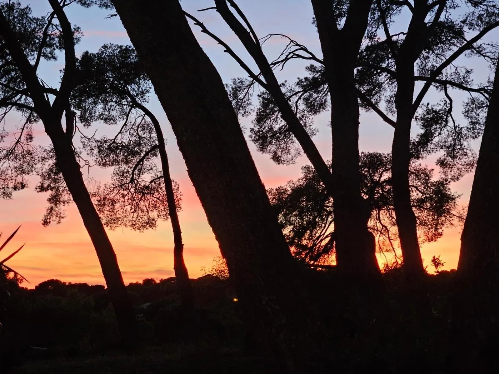 View (from property/room) in Grand Hotel Des Lecques; BW Signature Collection