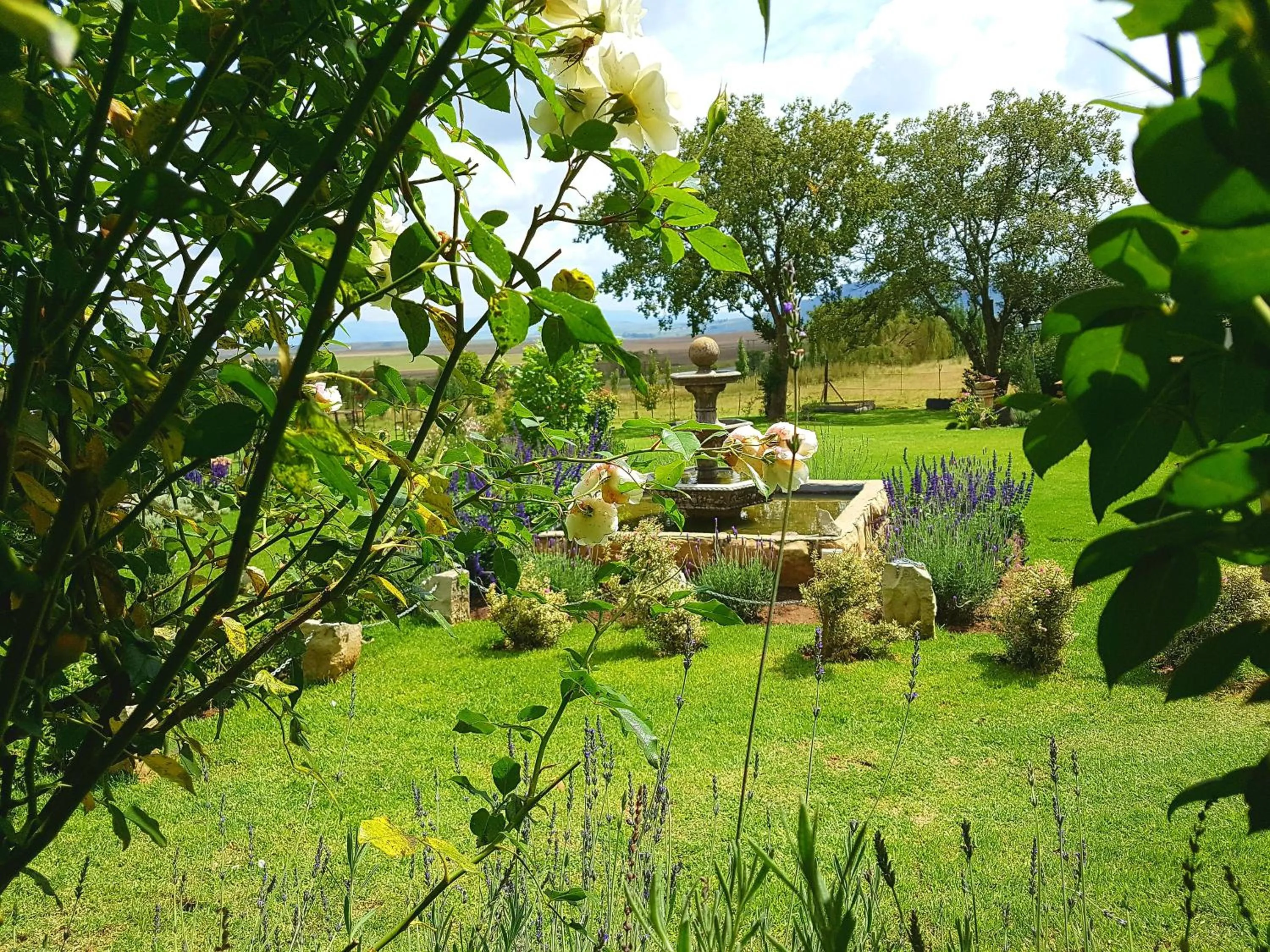 Garden in Affi lande Boetiek guestfarm