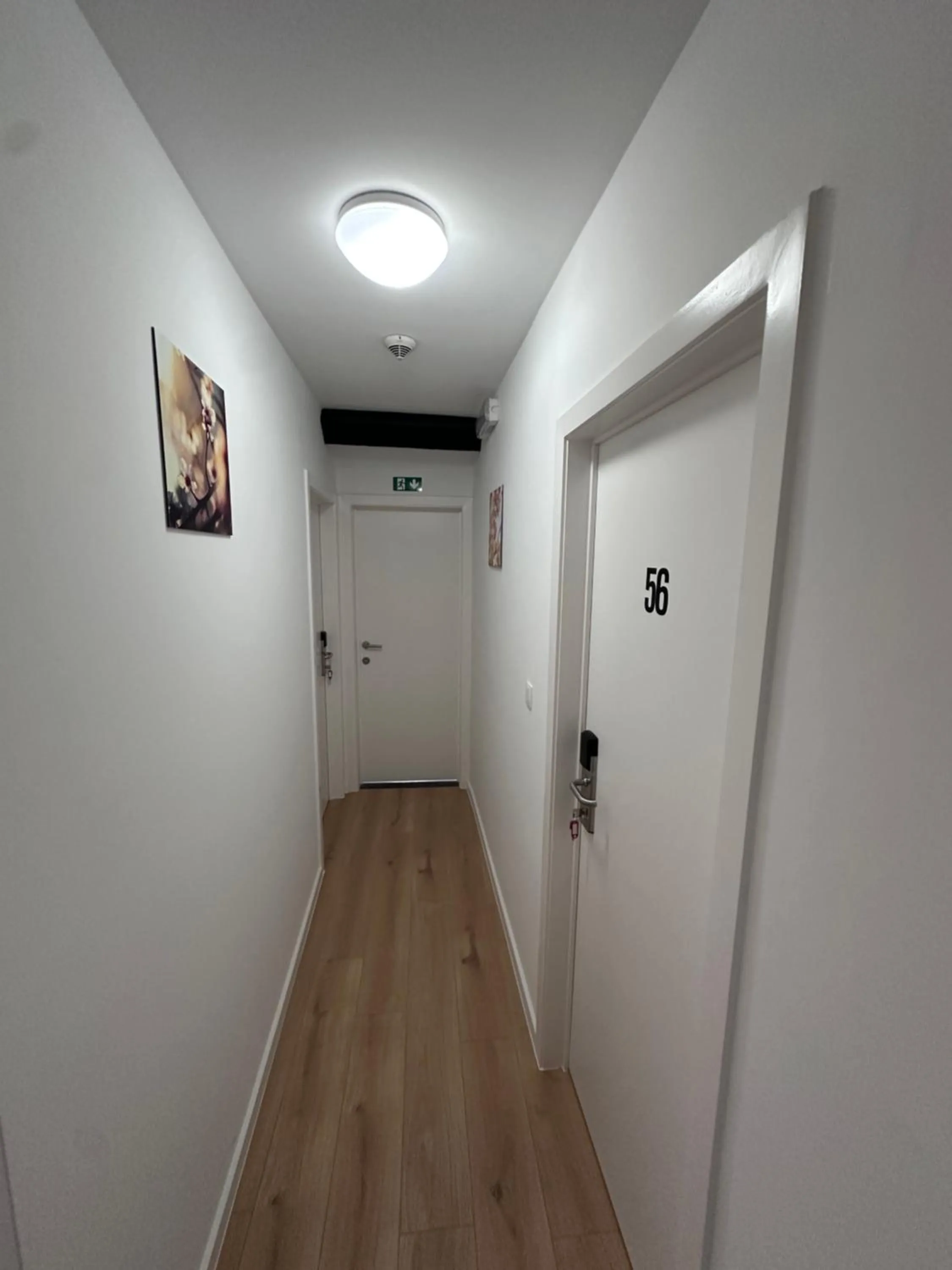 Area and facilities in Hotel Albert