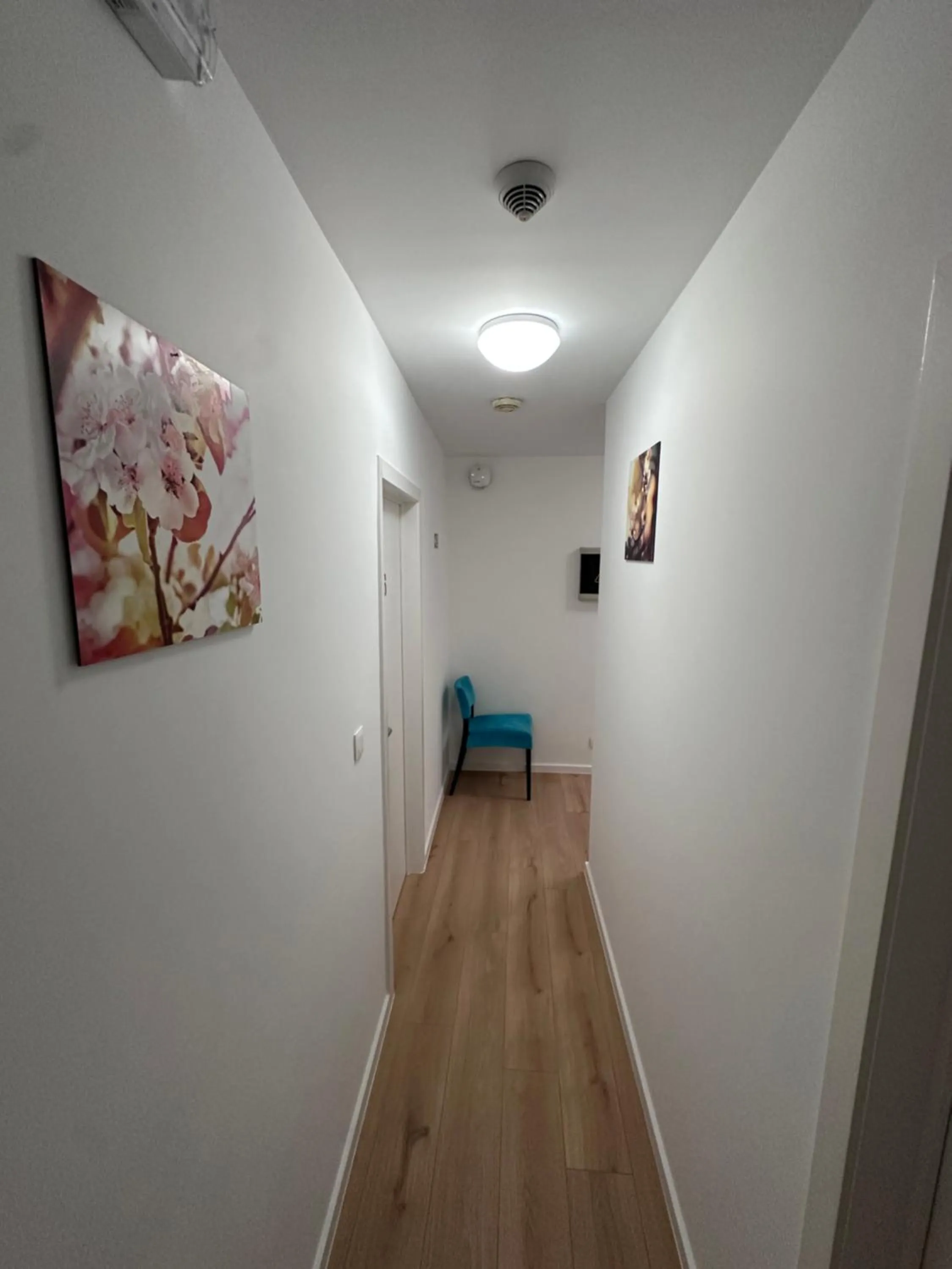 Area and facilities in Hotel Albert