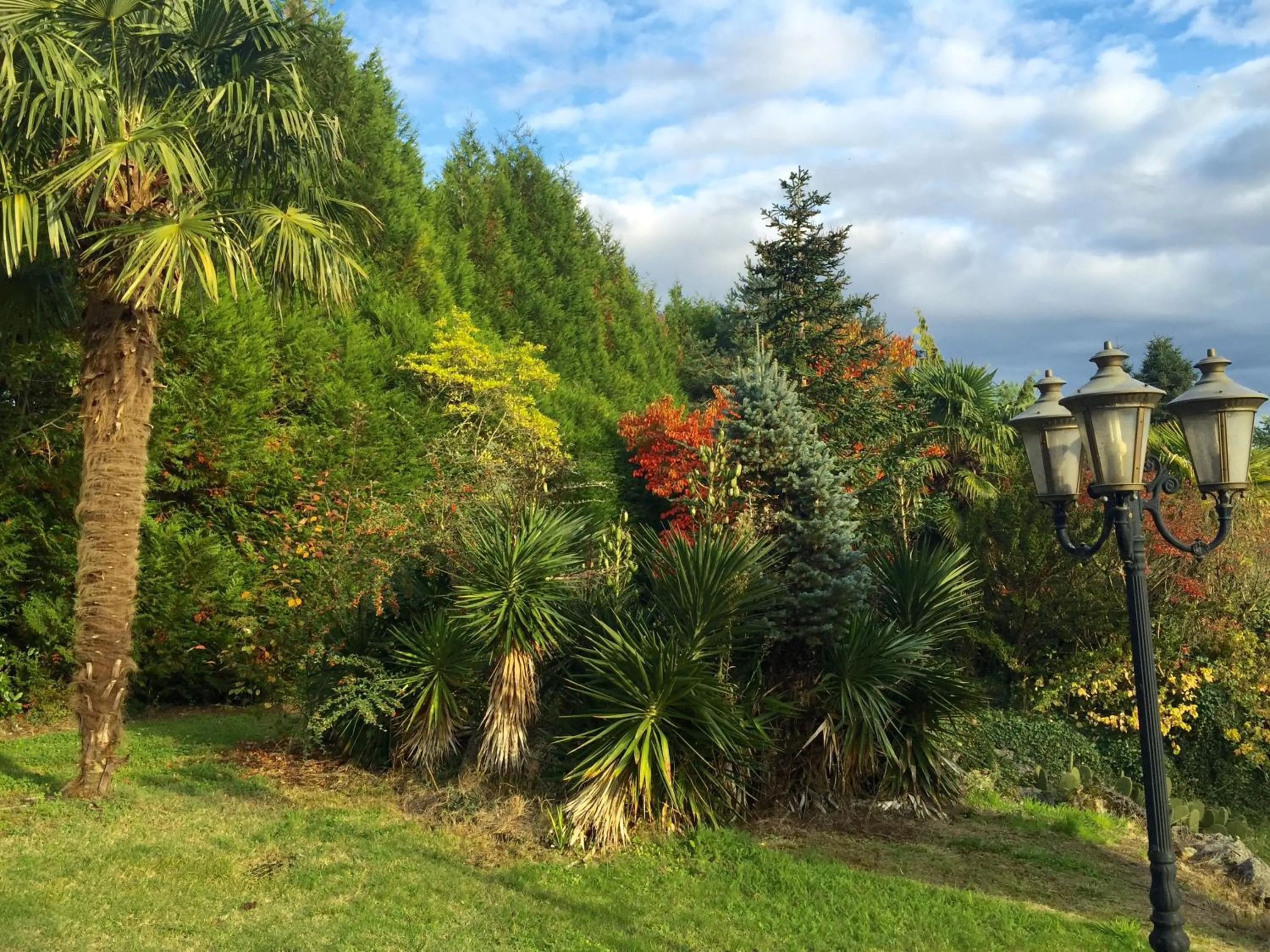 Garden in Le Belvédère