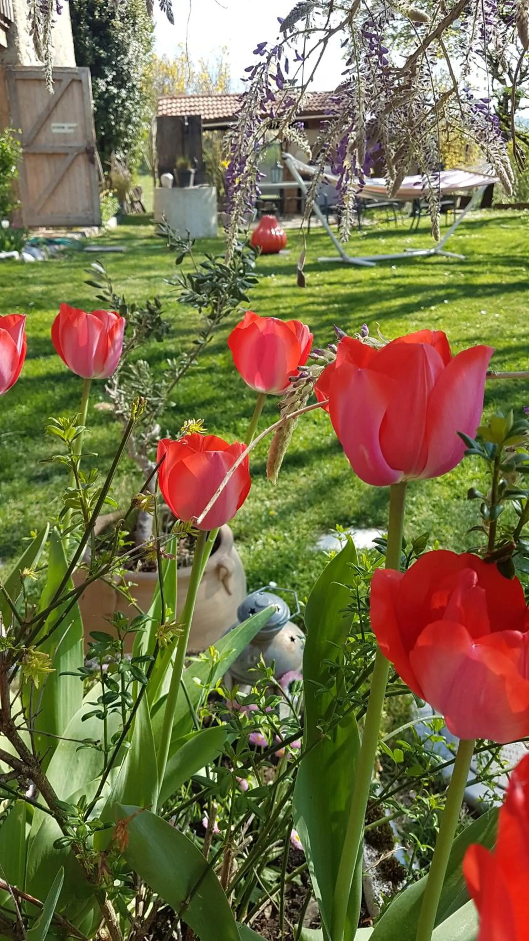 Spring in Antre Lacs