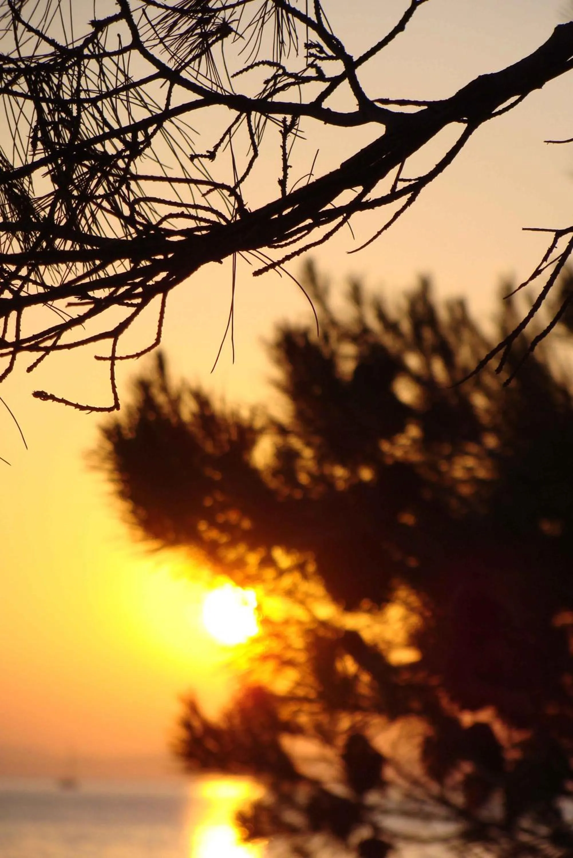 Sunset in Camp Rehut