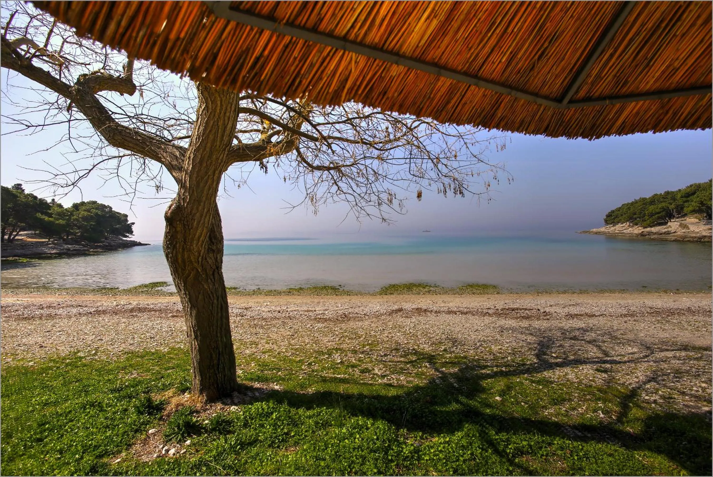 Natural landscape in Camp Rehut