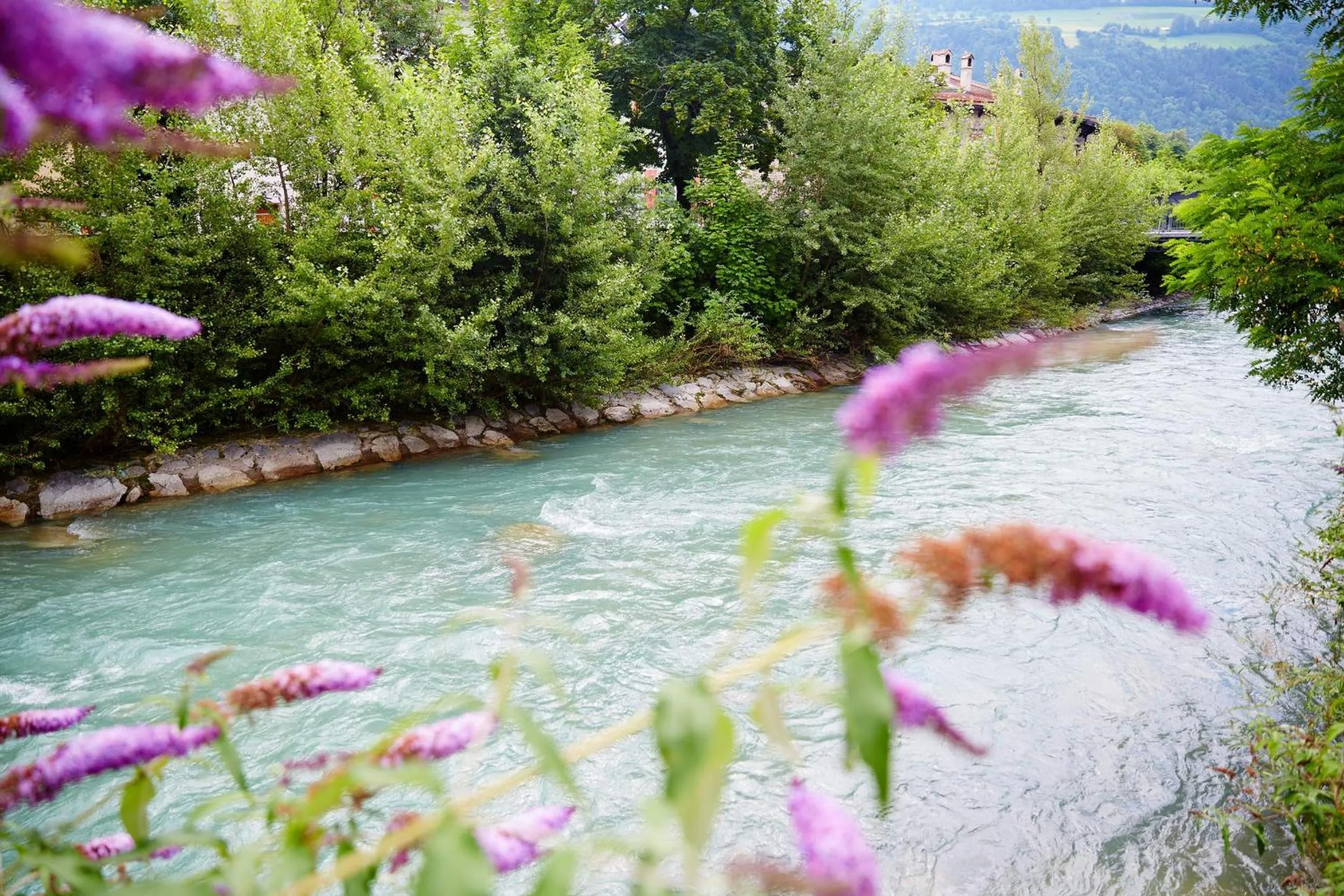 Natural landscape in Alter Schlachthof