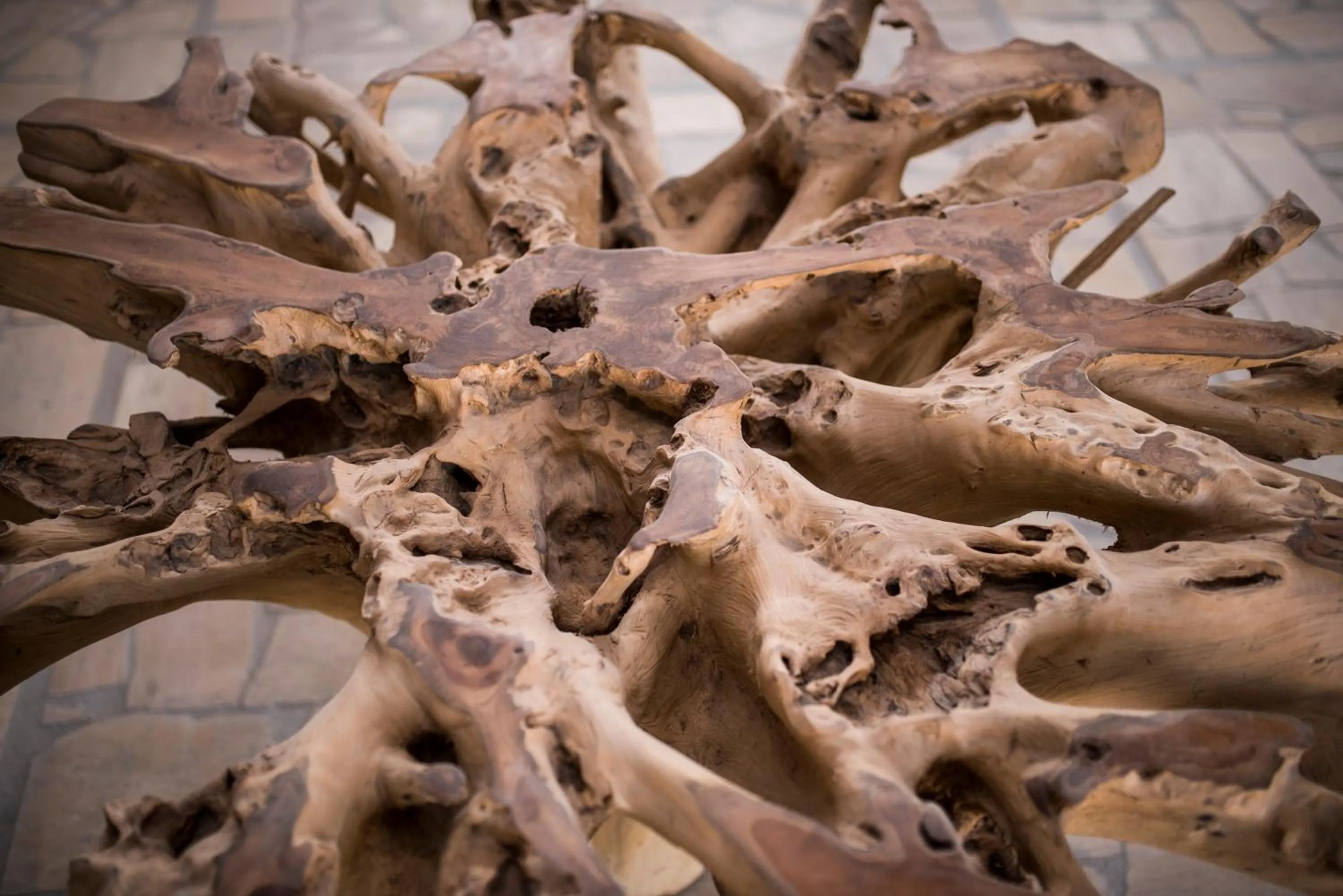 Decorative detail in Tarifa Lances by QHotels