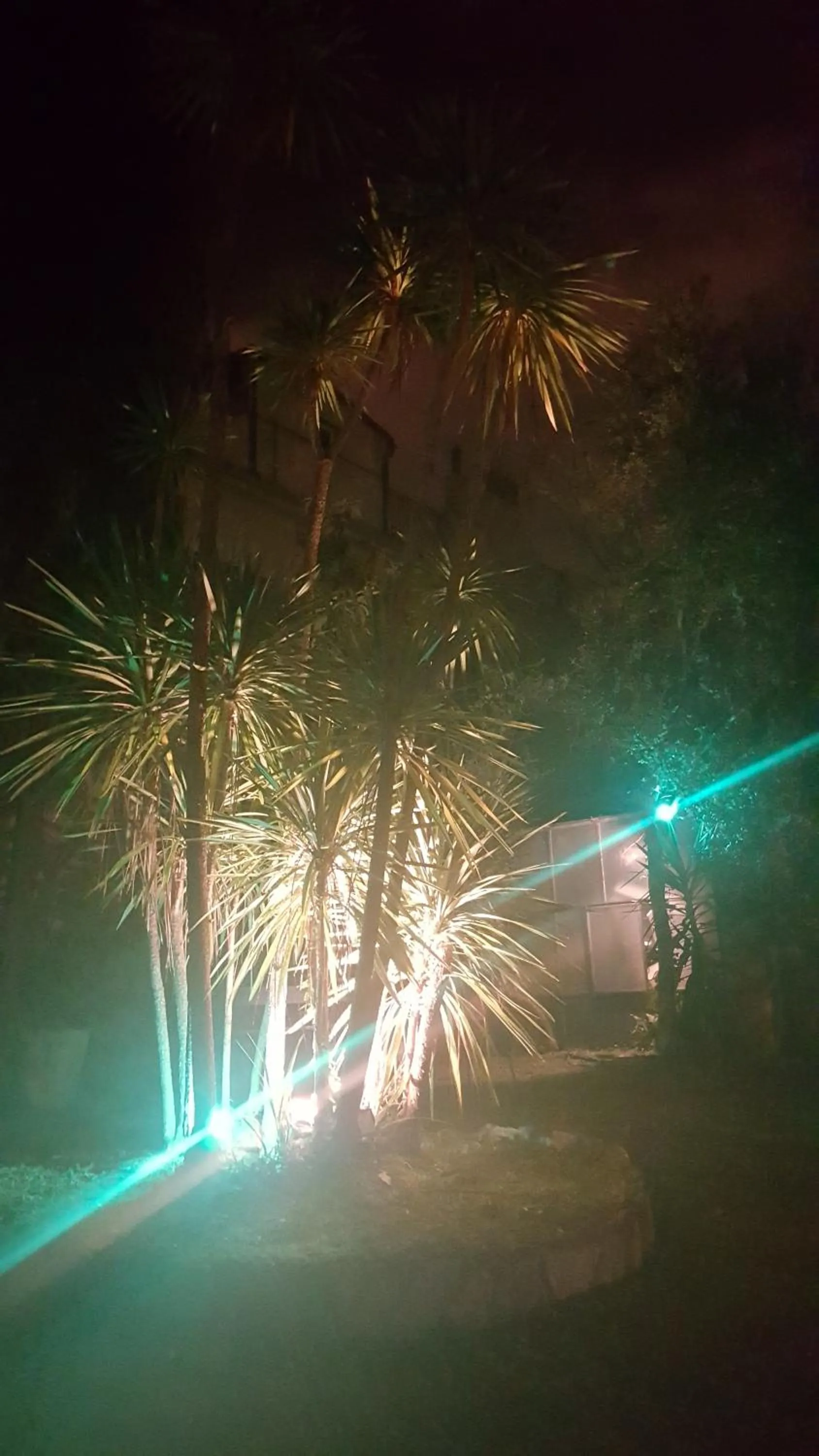 Garden in Garden Suite