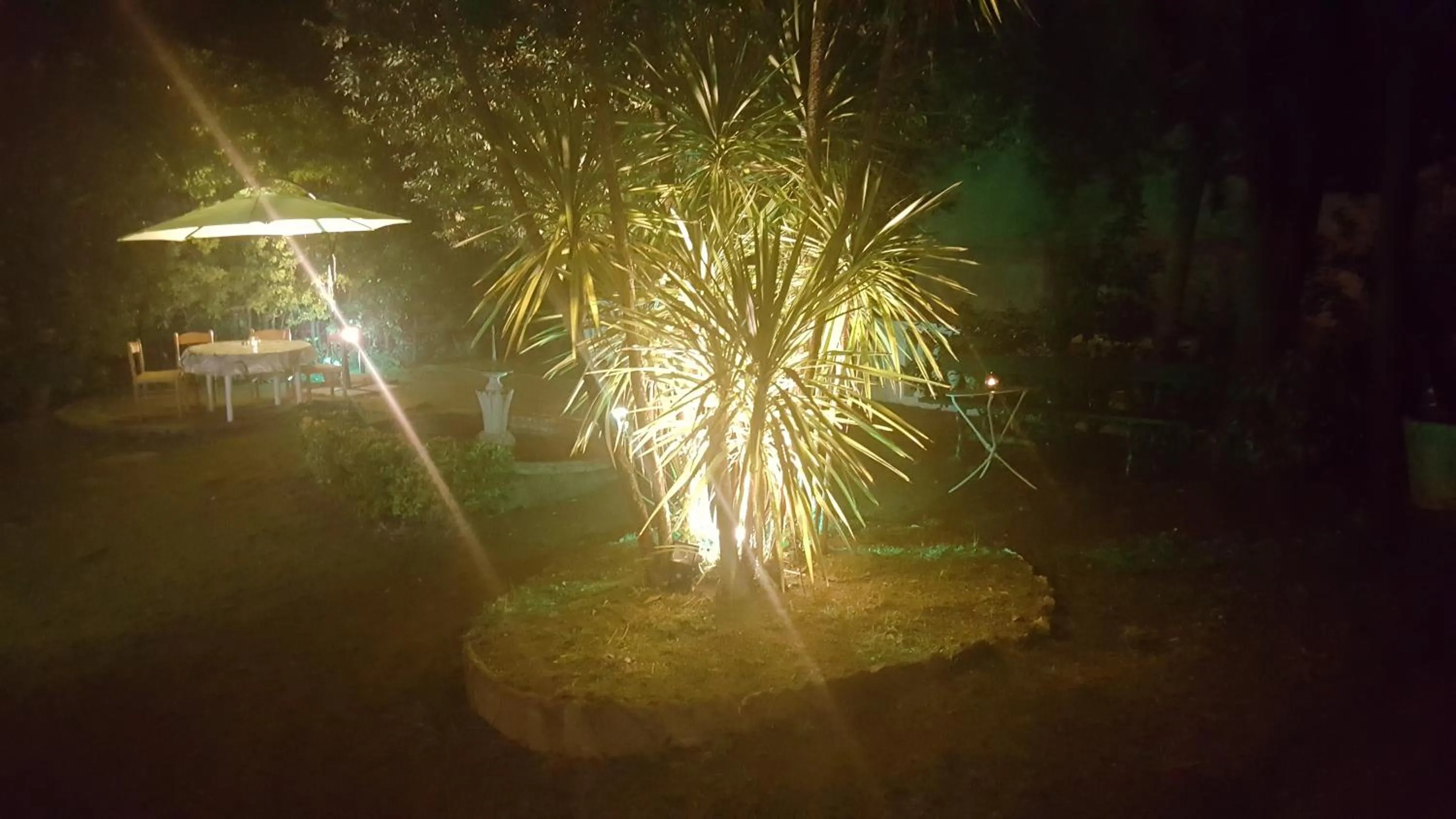 Garden in Garden Suite