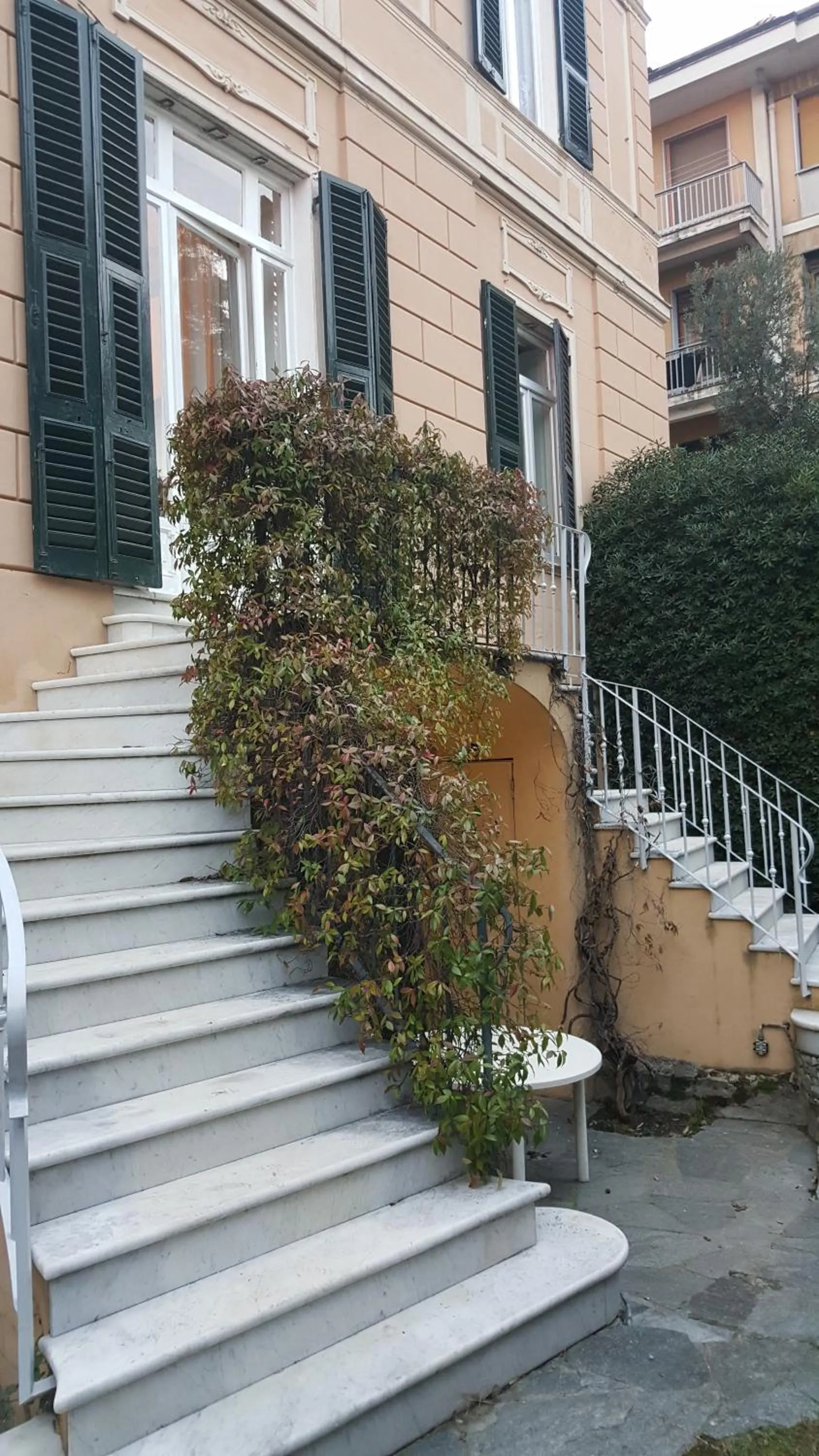 Garden view in Garden Suite