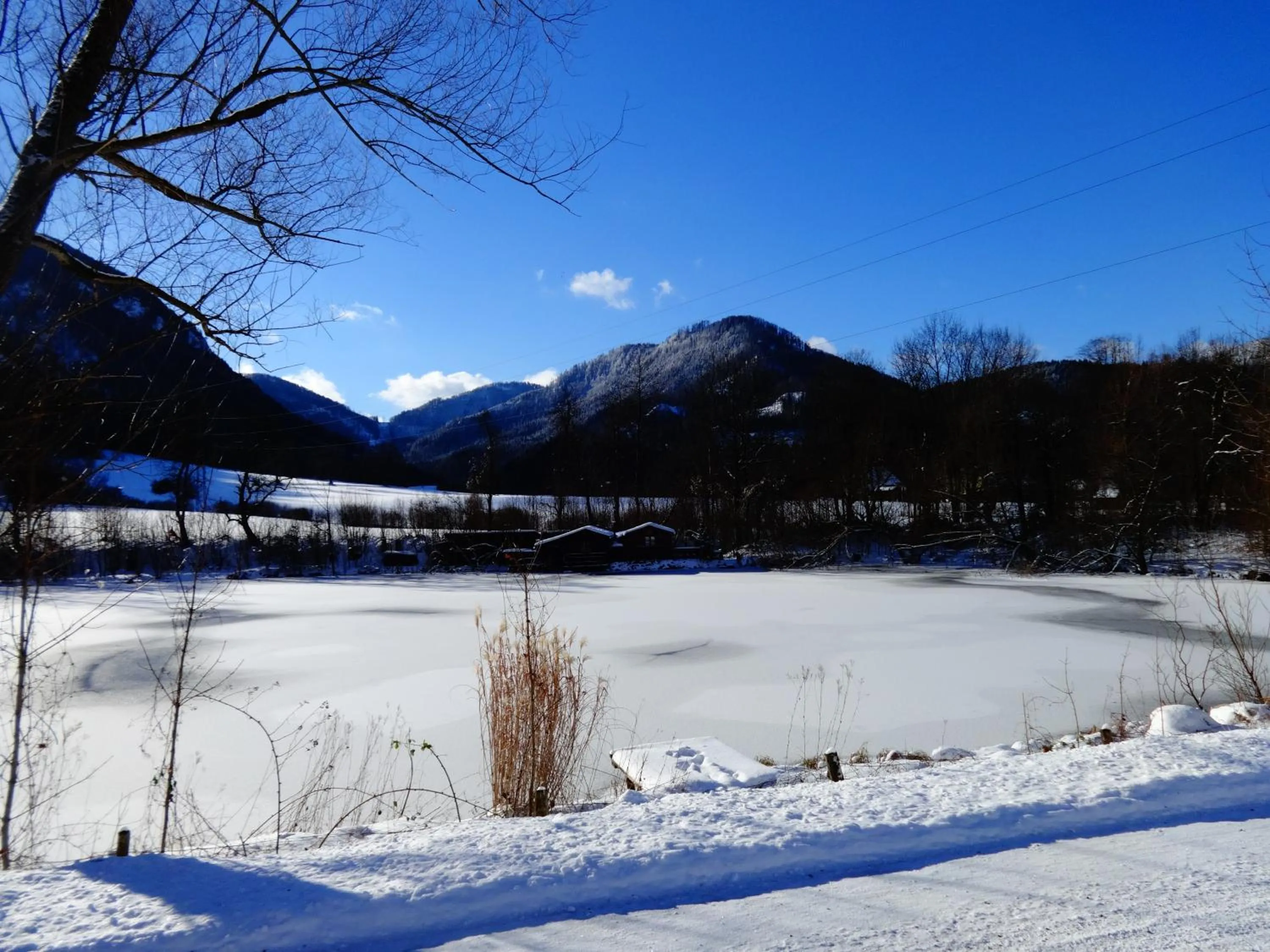 Natural landscape in Frühstückspension Irmer