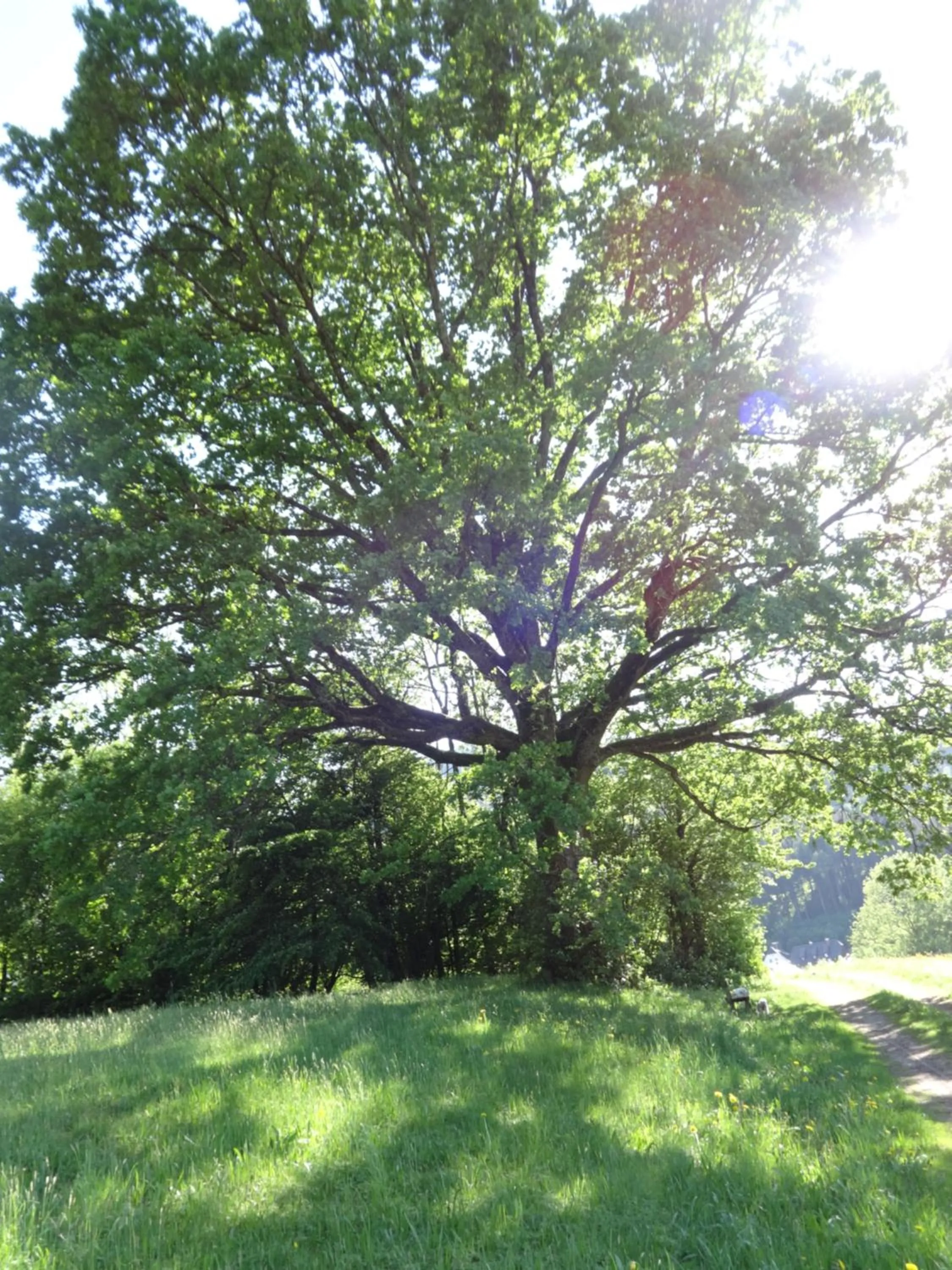 Frühstückspension Irmer