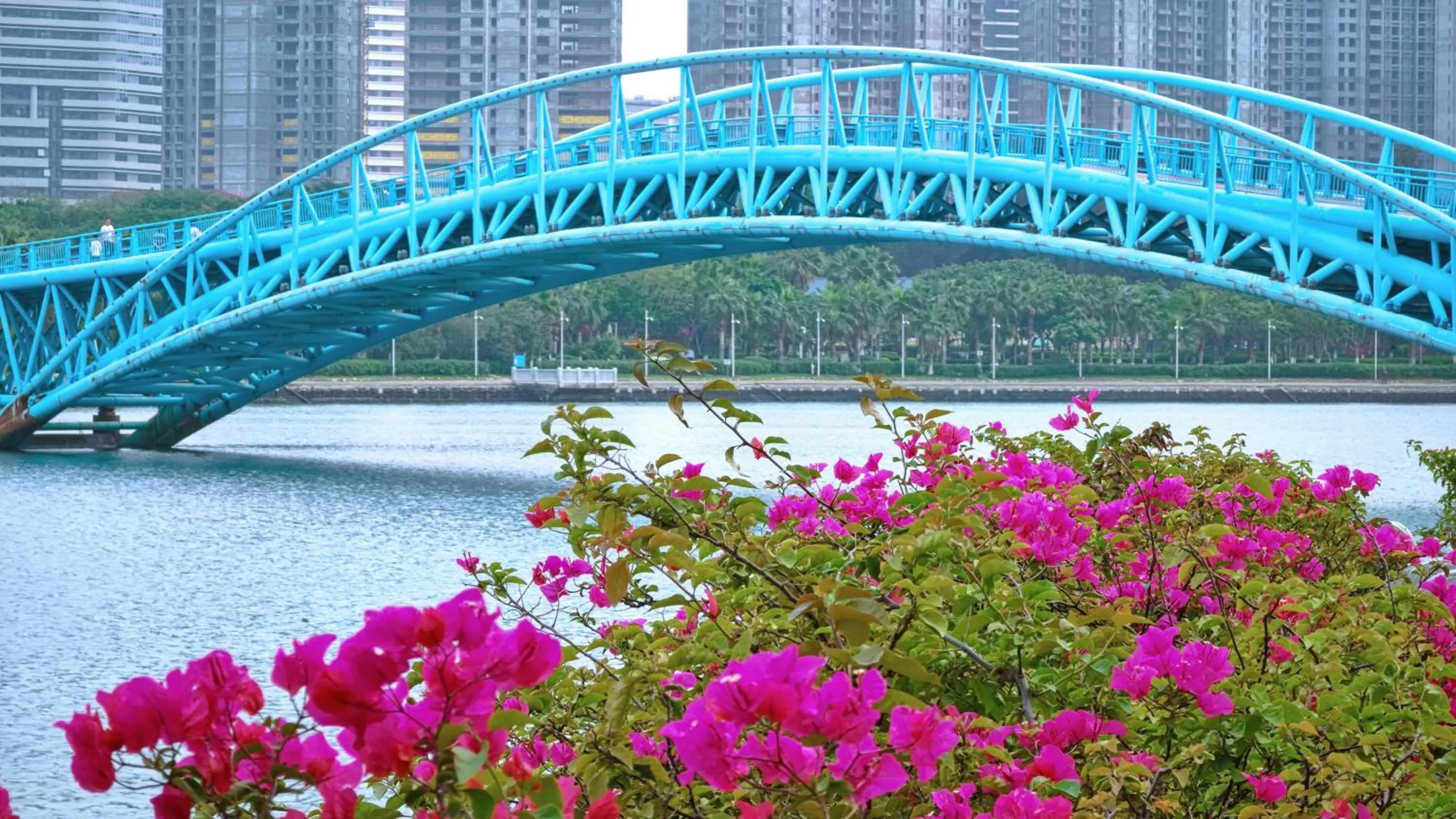 Other in Hyatt Regency Xiamen Wuyuanwan