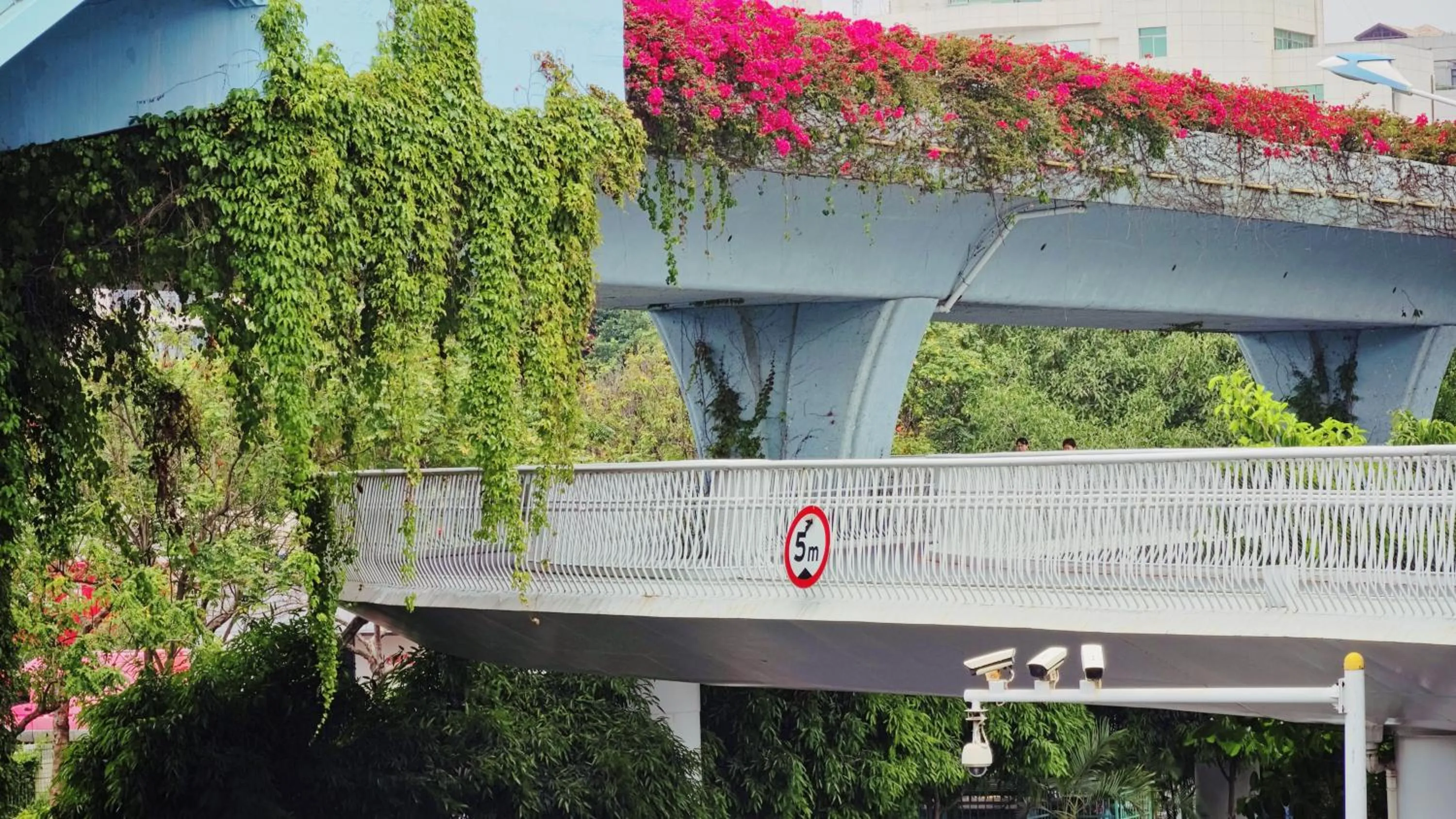 Other in Hyatt Regency Xiamen Wuyuanwan