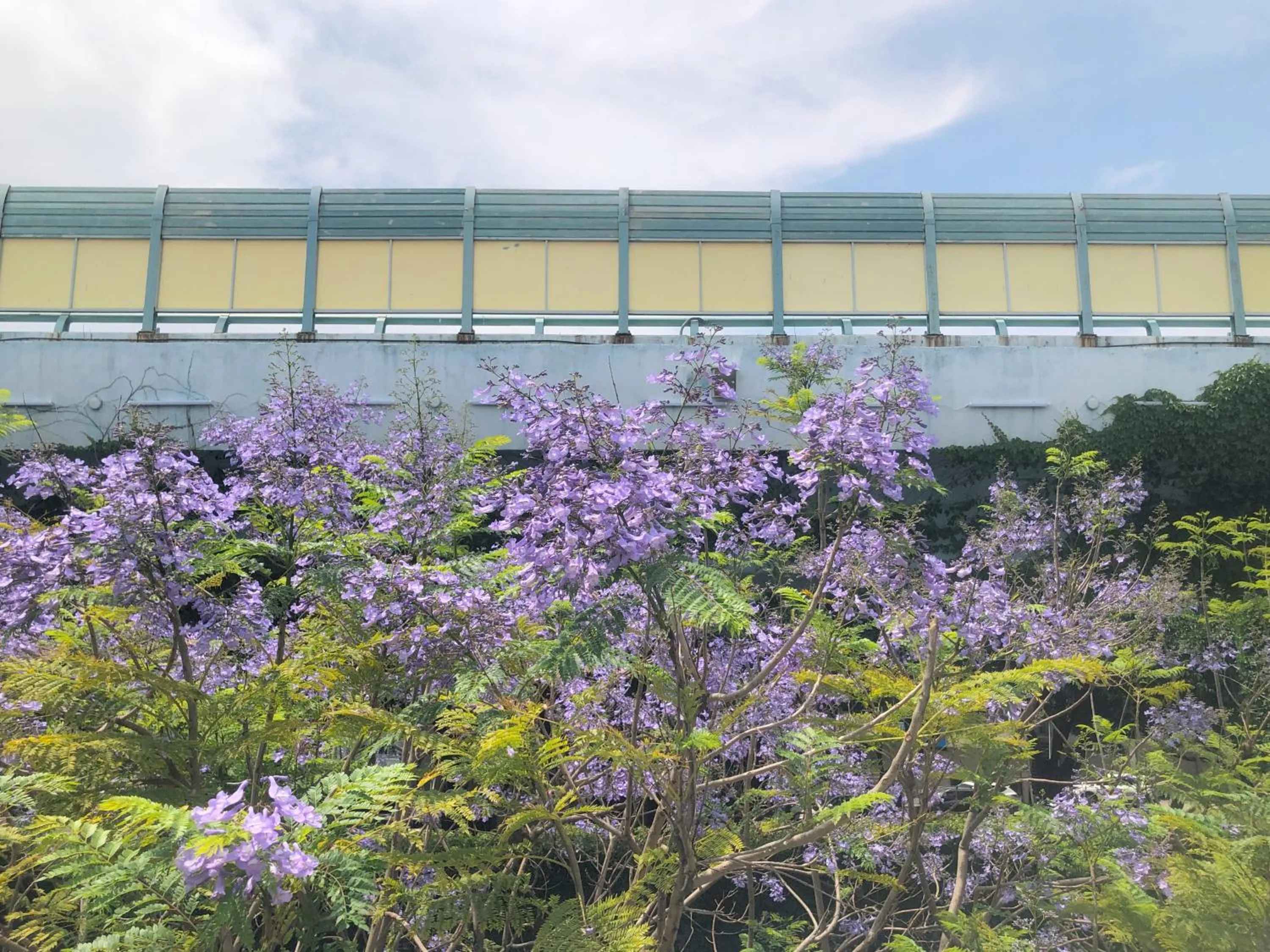 Other in Hyatt Regency Xiamen Wuyuanwan