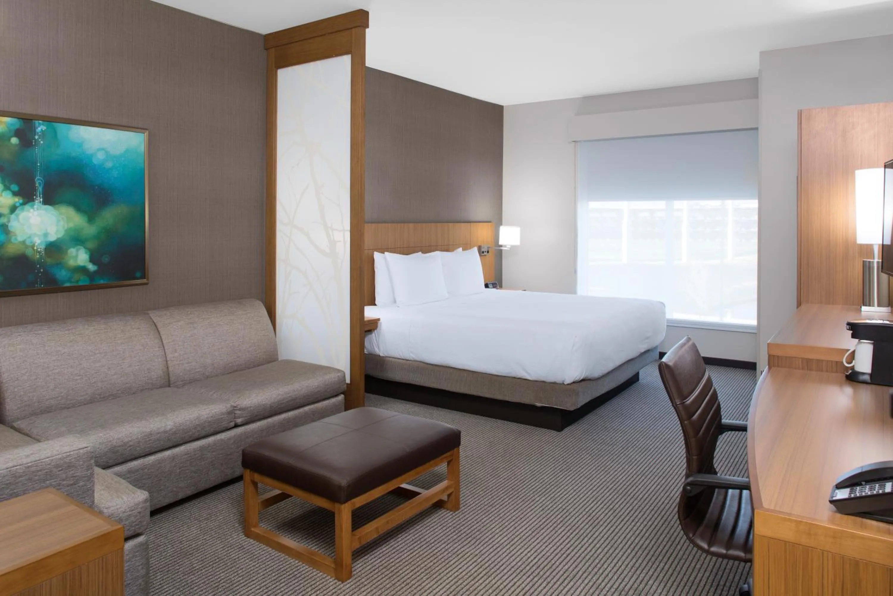 King Suite with Sofa Bed and Roll-In Shower - Disability Access in Hyatt Place Dallas/The Colony