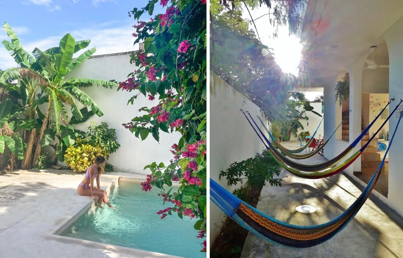 Garden view in Hostel Humanity - Puerto Morelos