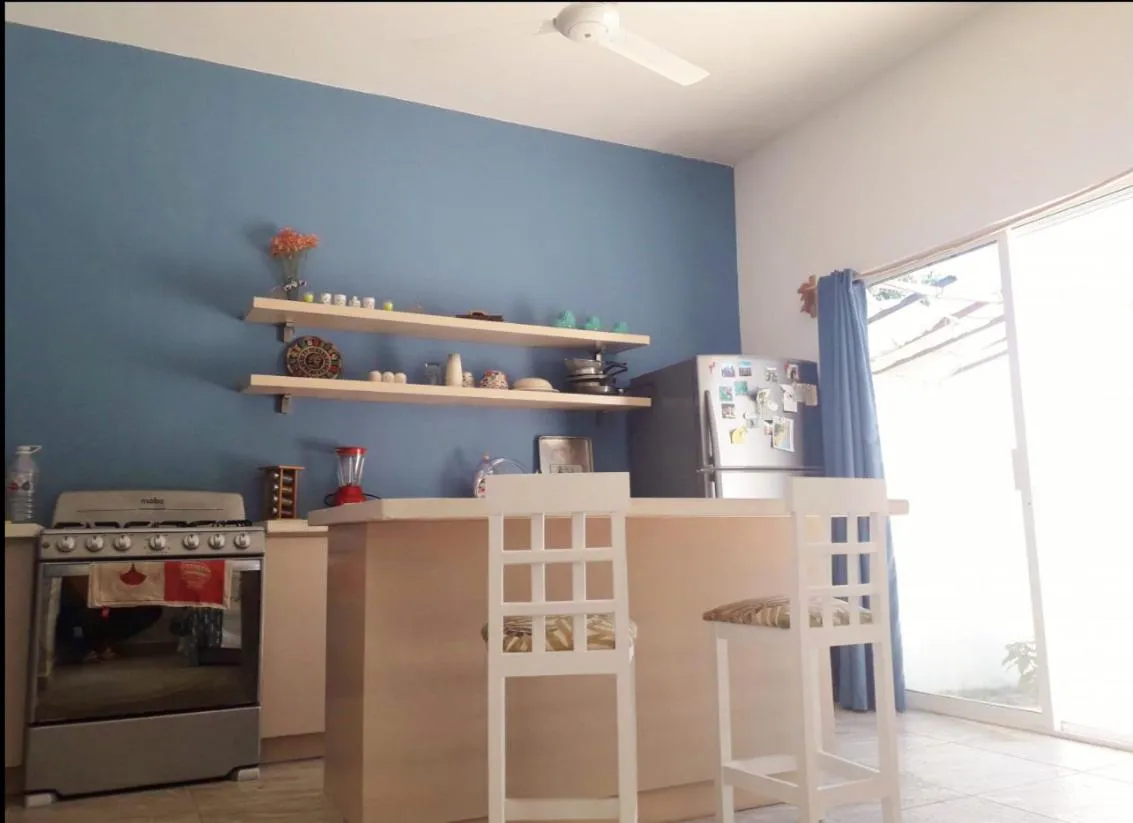 Kitchen or kitchenette in Hostel Humanity - Puerto Morelos