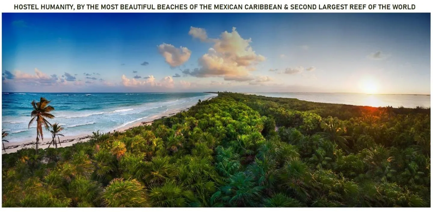 Natural landscape in Hostel Humanity - Puerto Morelos