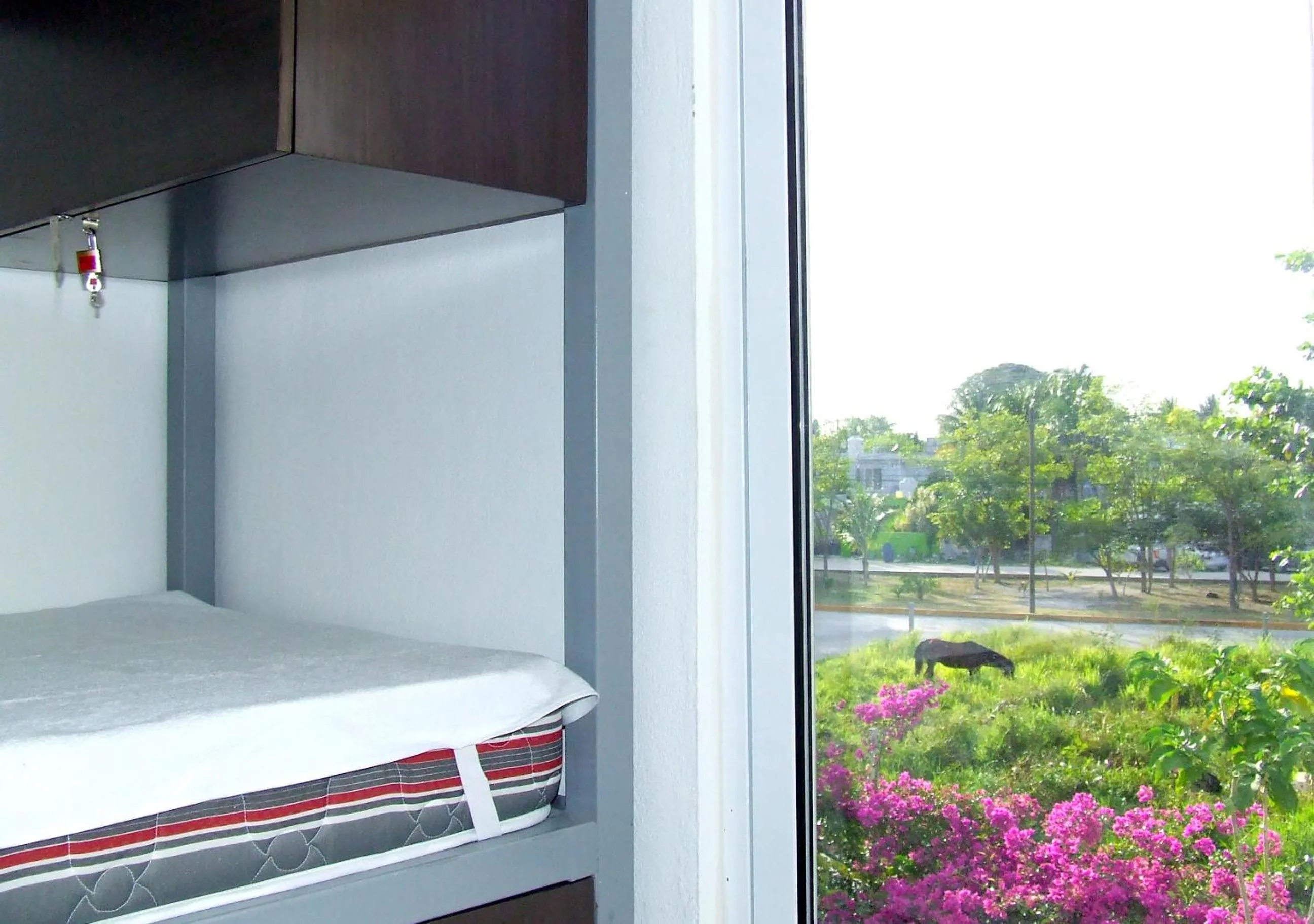 Bed in Hostel Humanity - Puerto Morelos