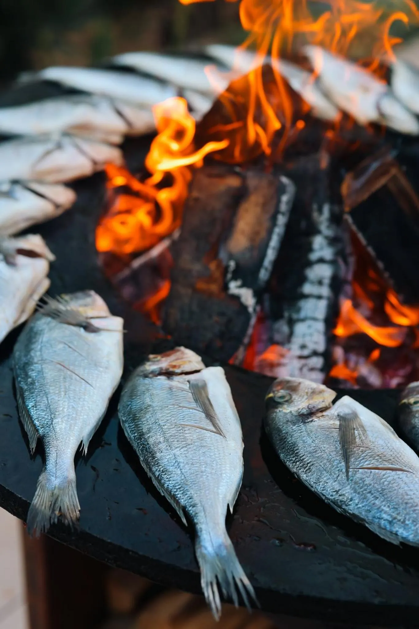 Restaurant/places to eat in Family Resort Urania