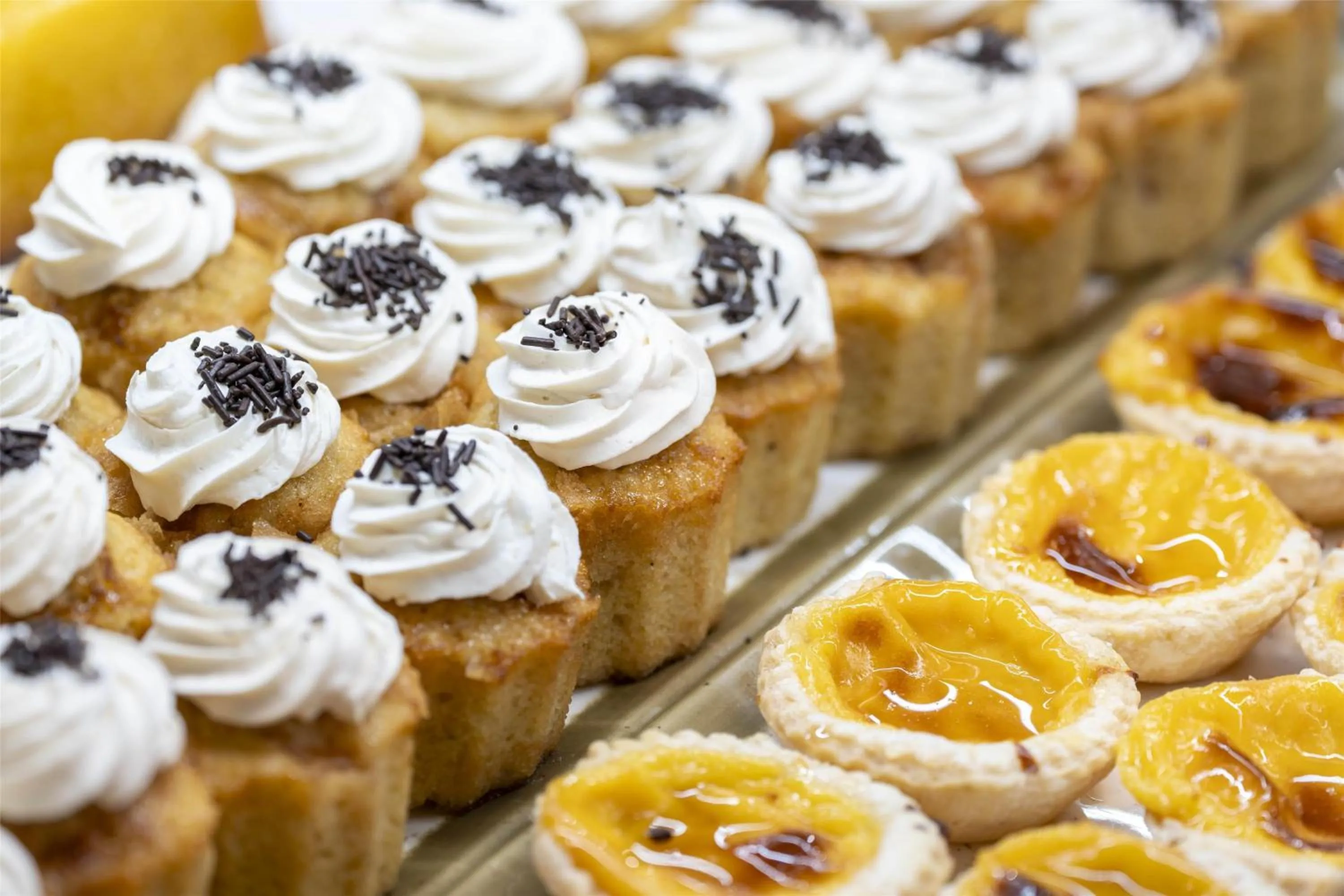 Restaurant/places to eat in Occidental Boa Vista Beach