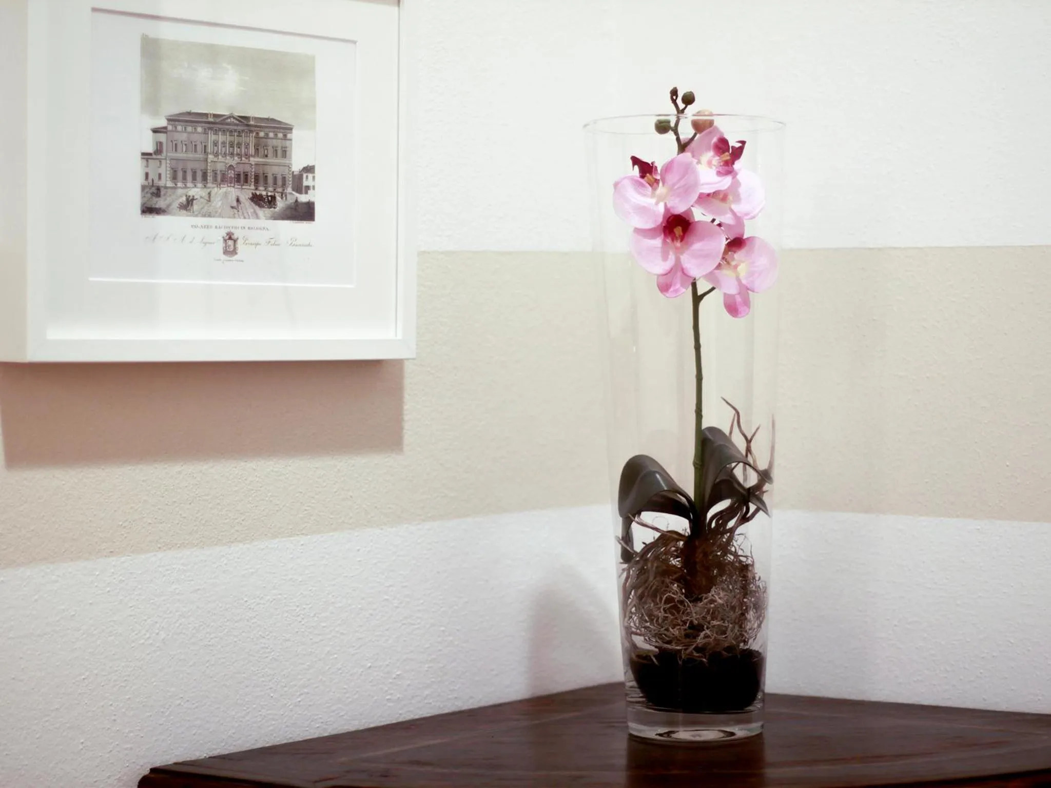 Decorative detail in Casa Isolani Luxury Rooms Piazza Maggiore