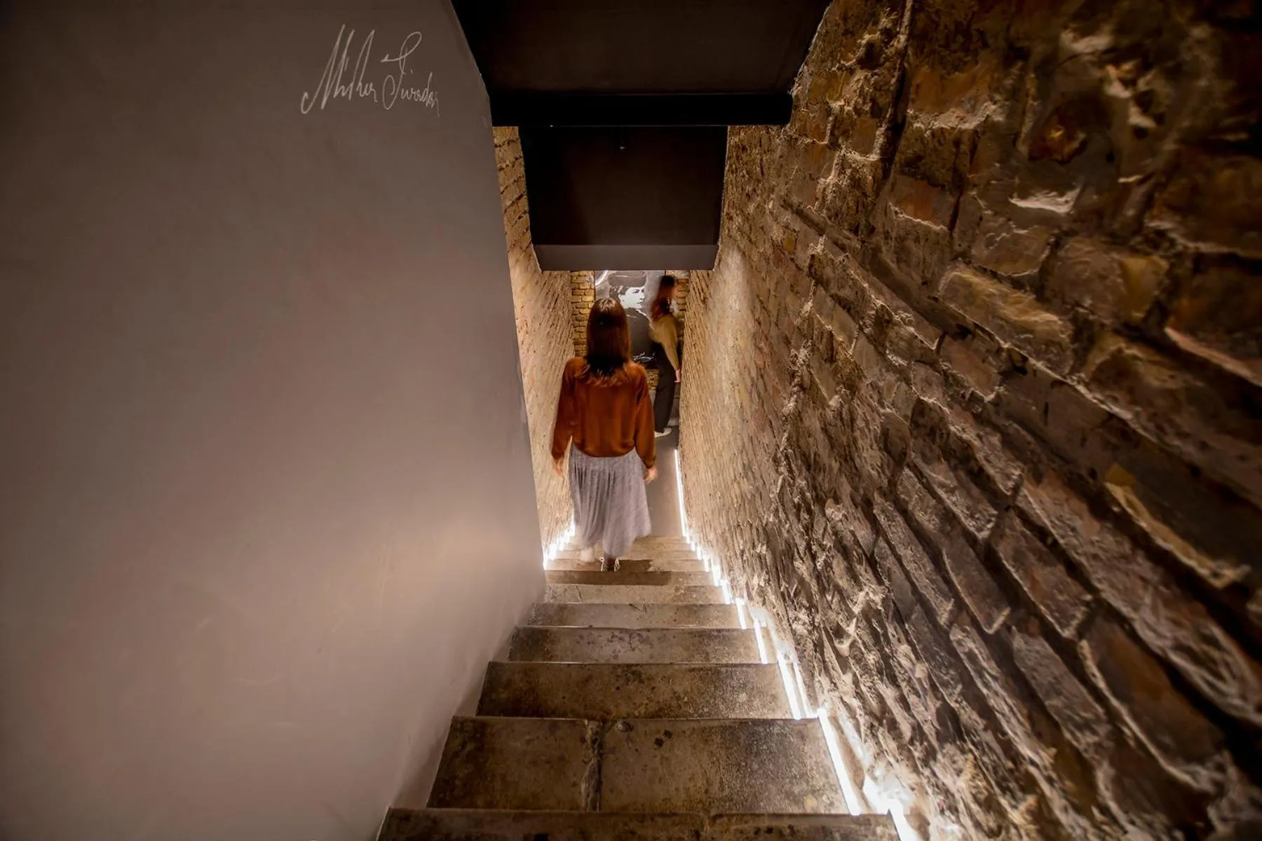 Area and facilities in Hotel Mika Downtown