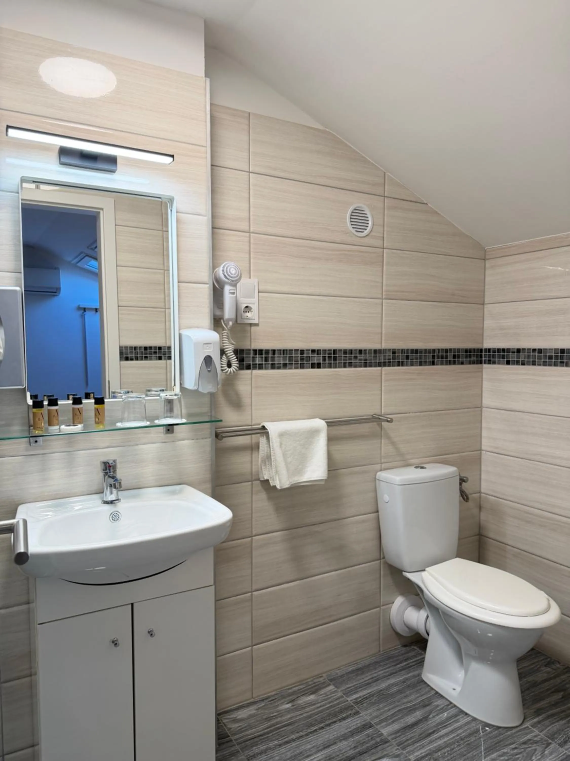 Toilet in Hotel Mika Downtown