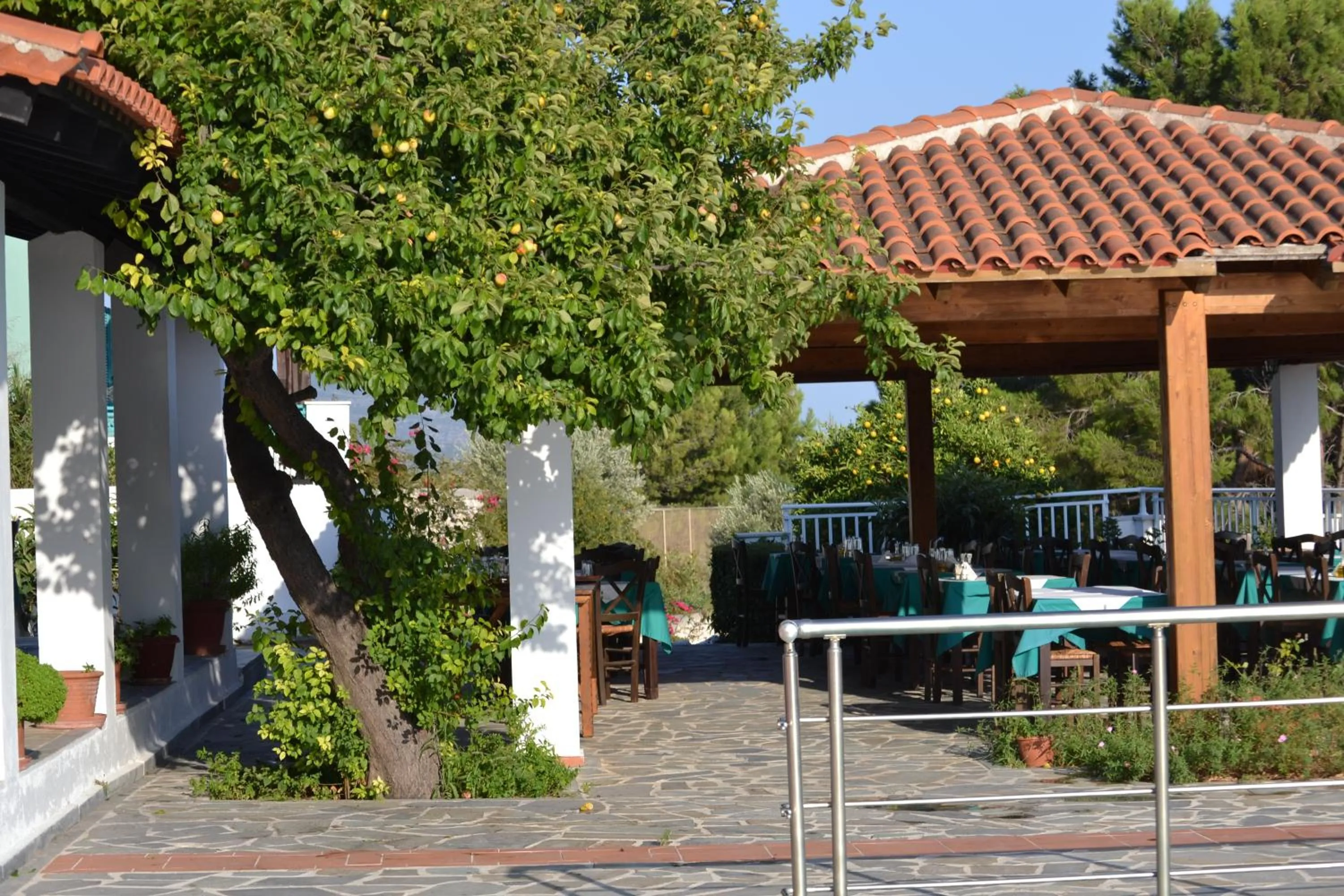 Food in Mykali Hotel