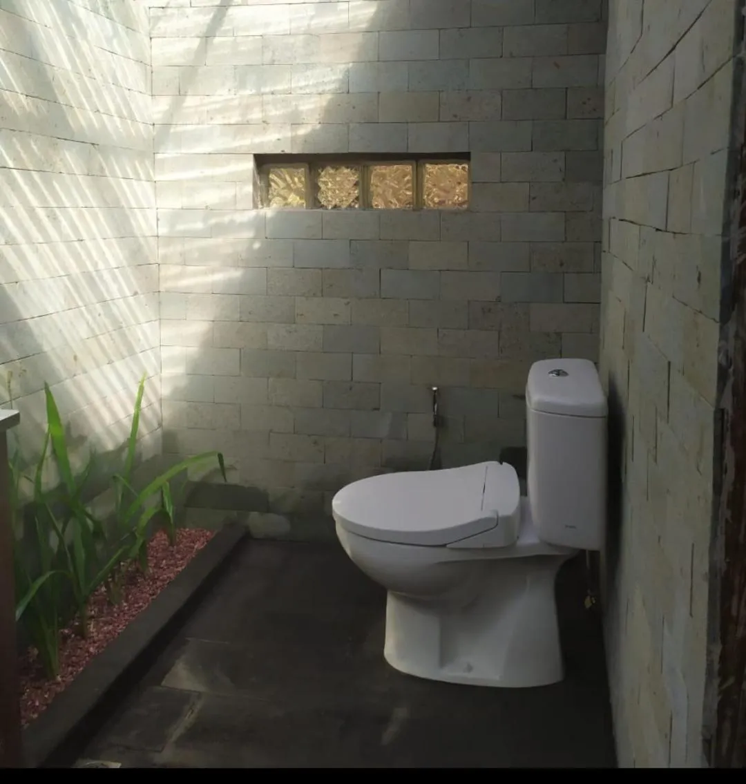 DWan Tea Mountain Side