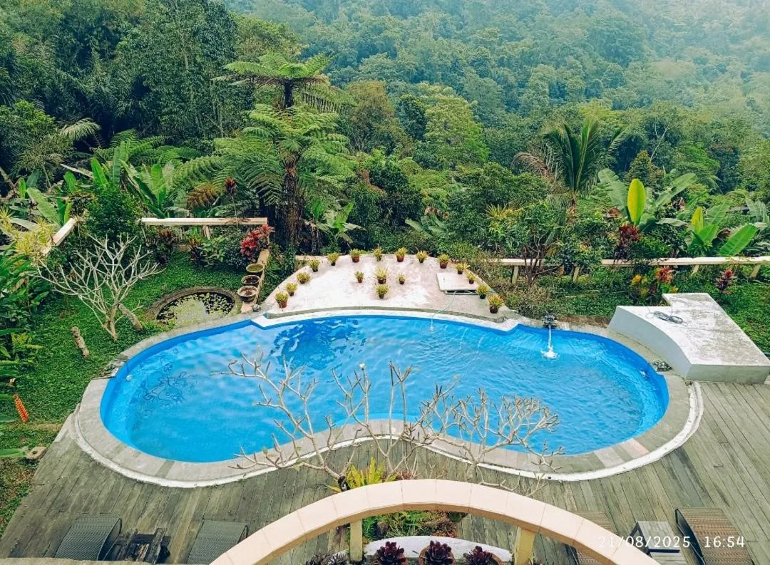 DWan Tea Mountain Side