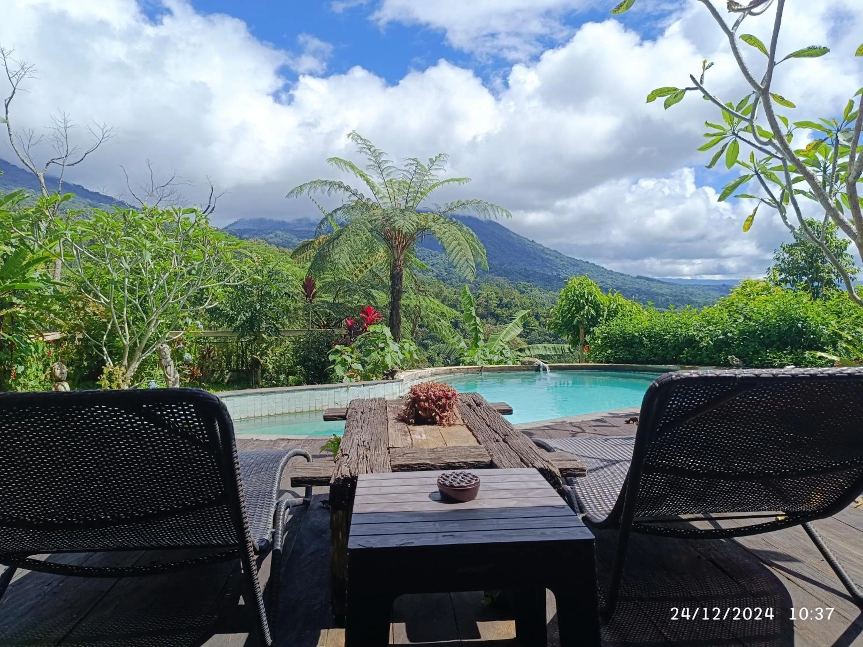 DWan Tea Mountain Side