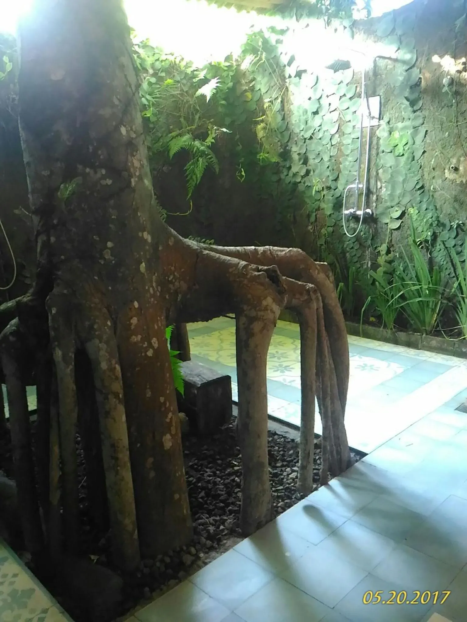 Shower in DWan Tea Mountain Side