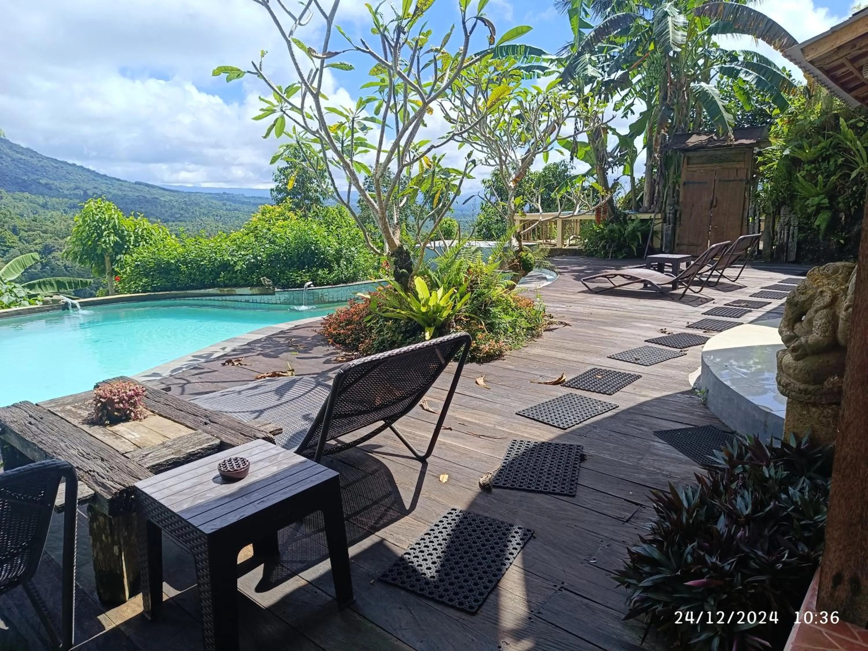 DWan Tea Mountain Side