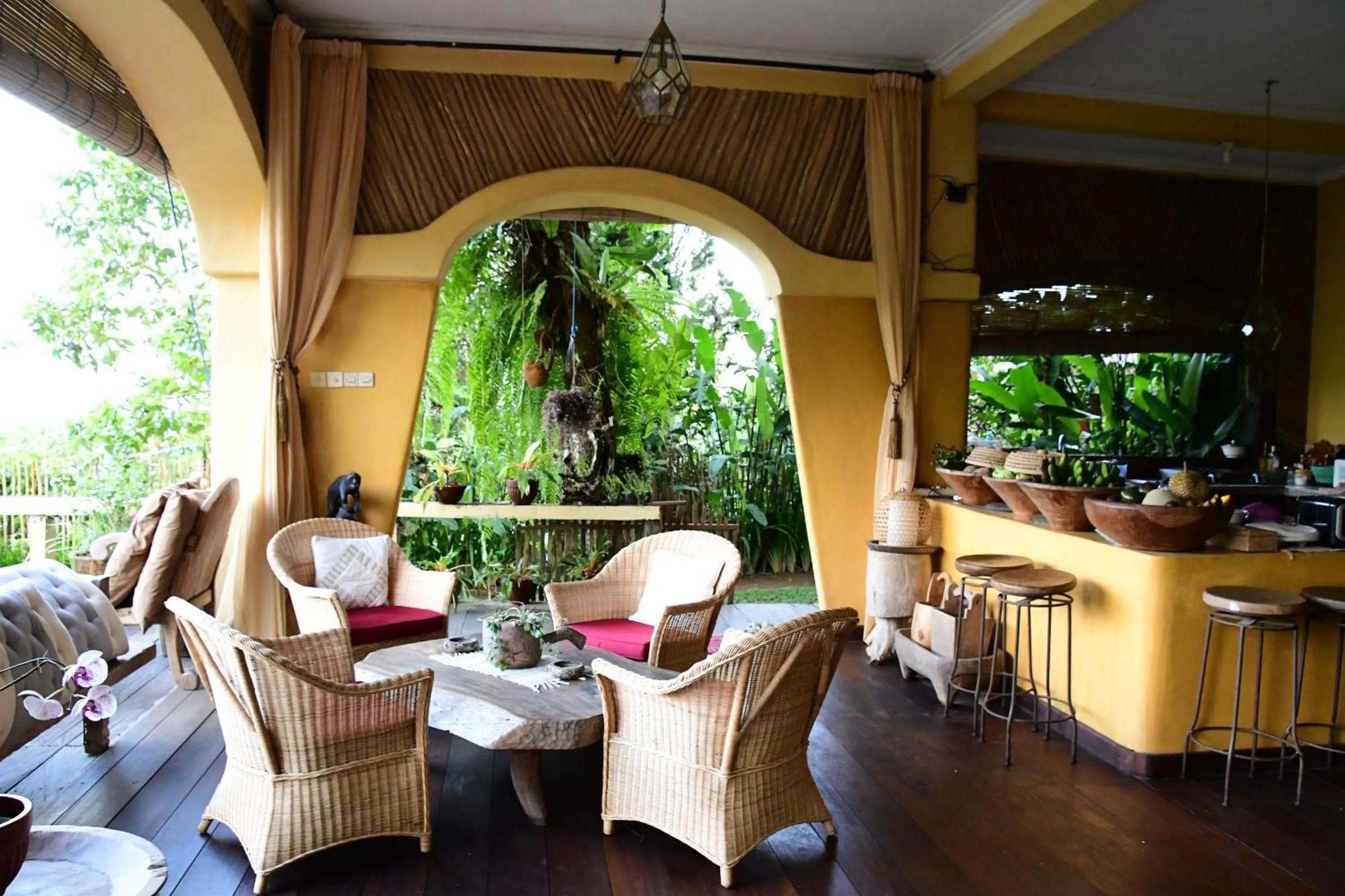 DWan Tea Mountain Side