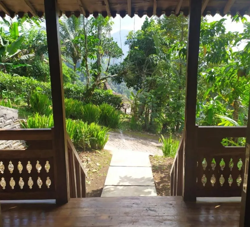 DWan Tea Mountain Side