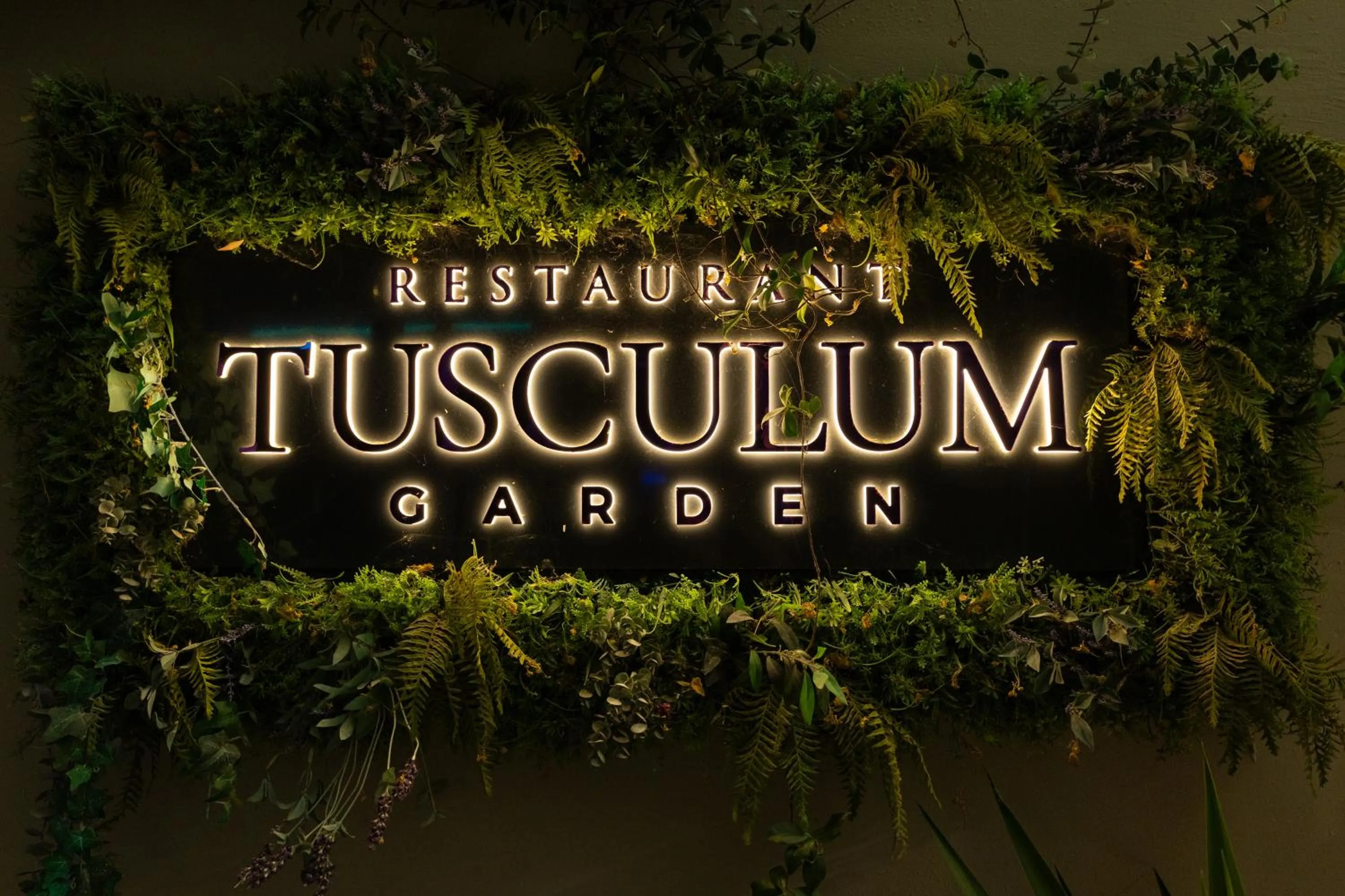 Property logo or sign in Hotel Salona Palace