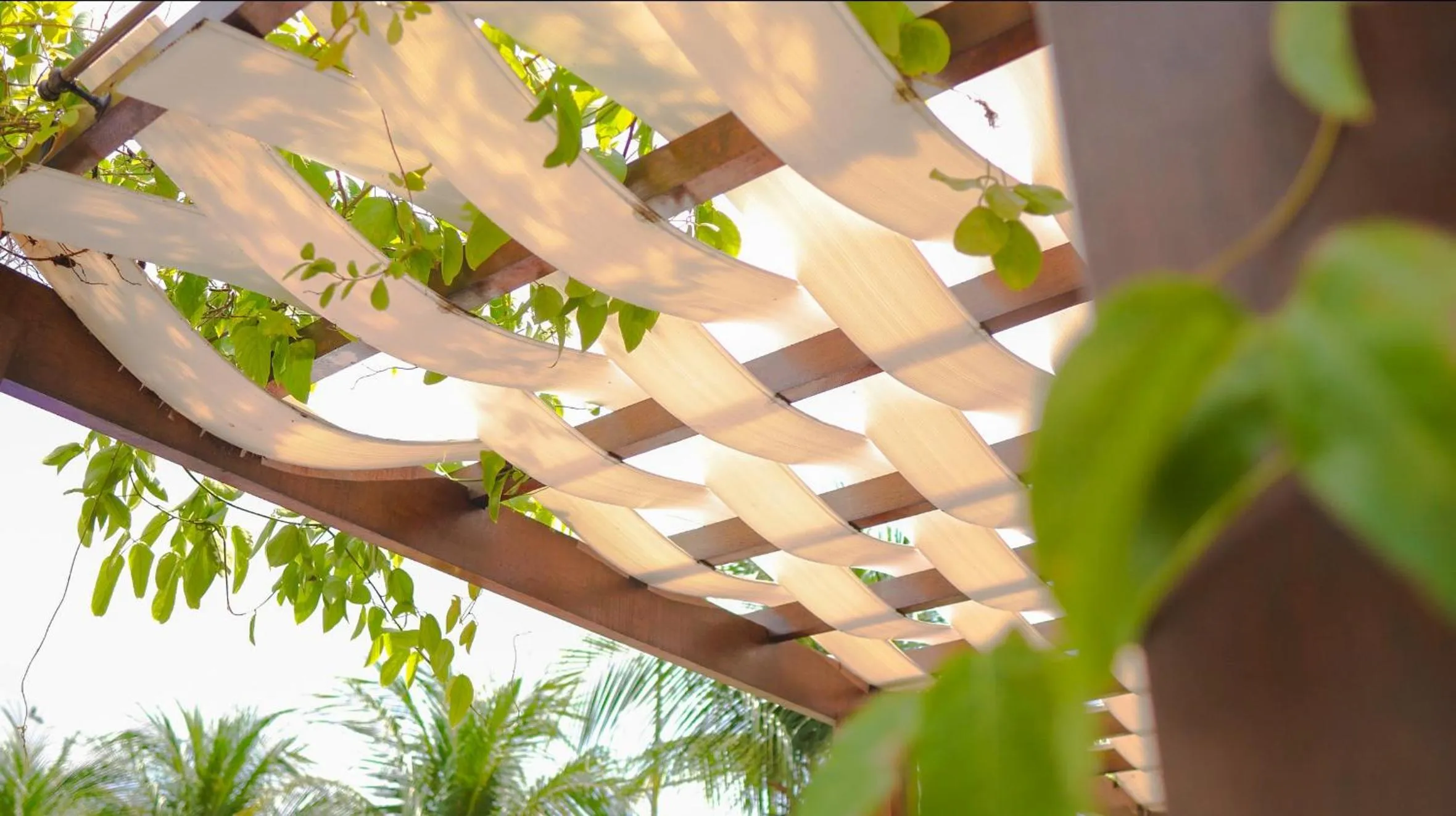 Balcony/Terrace in Altiplano Hotel