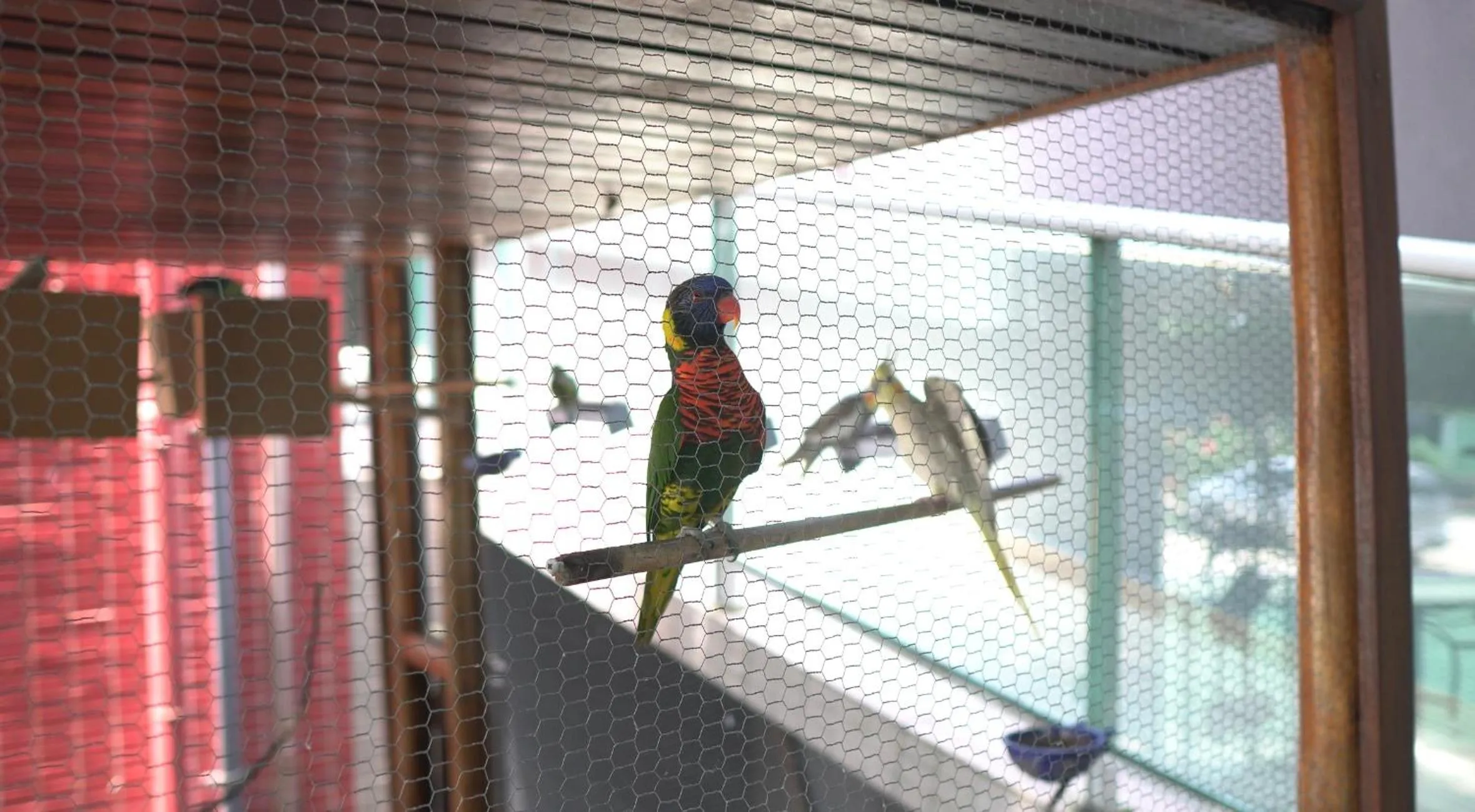 Garden in Altiplano Hotel
