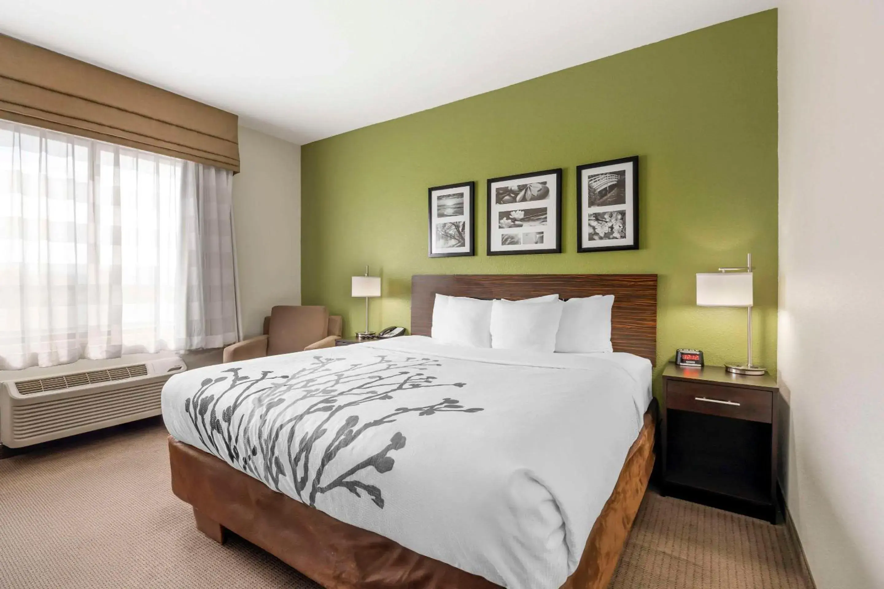 King Room in Sleep Inn & Suites Columbia King Room in Sleep Inn & Suites Columbia