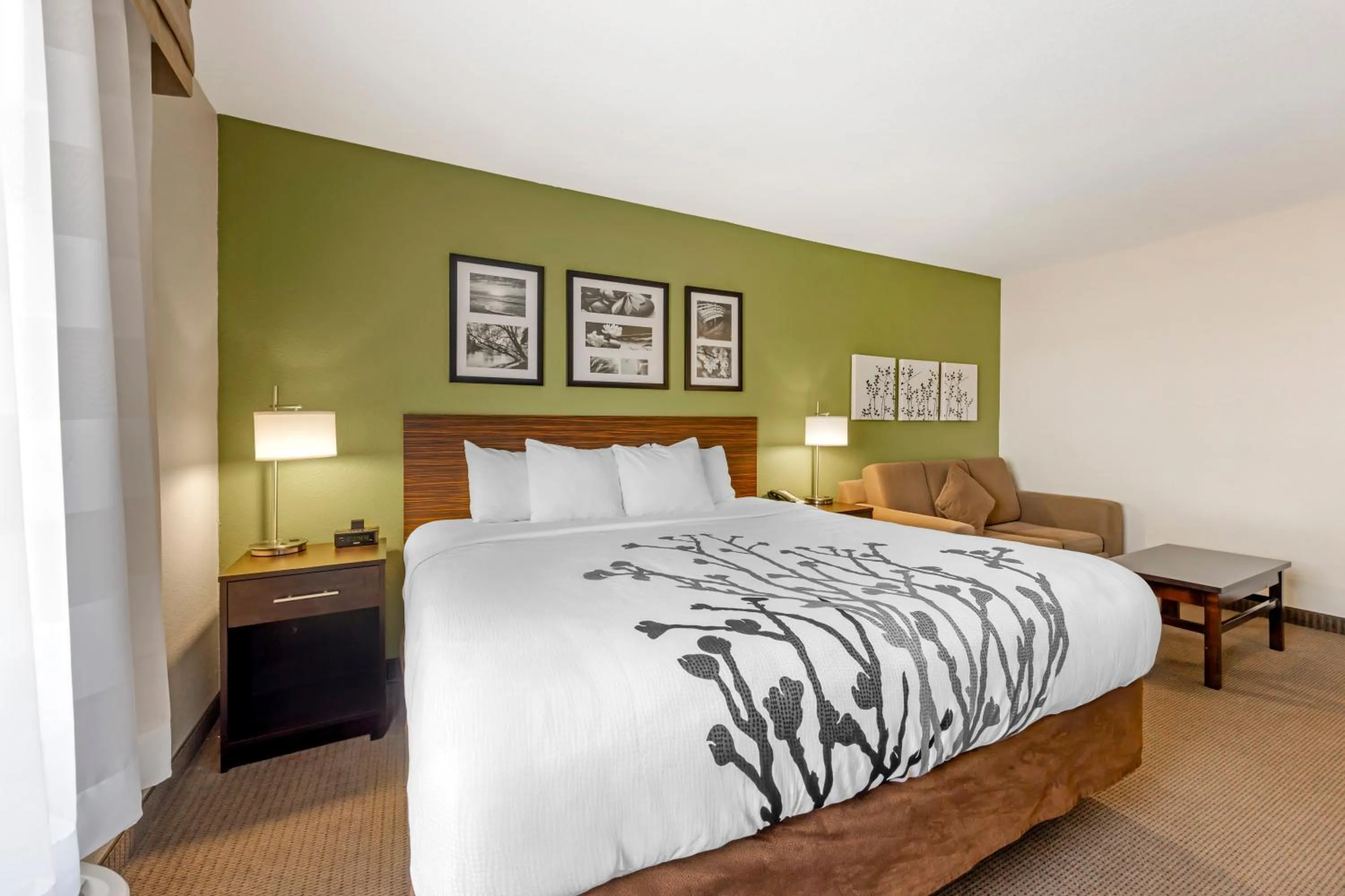 Bed in Sleep Inn & Suites Columbia