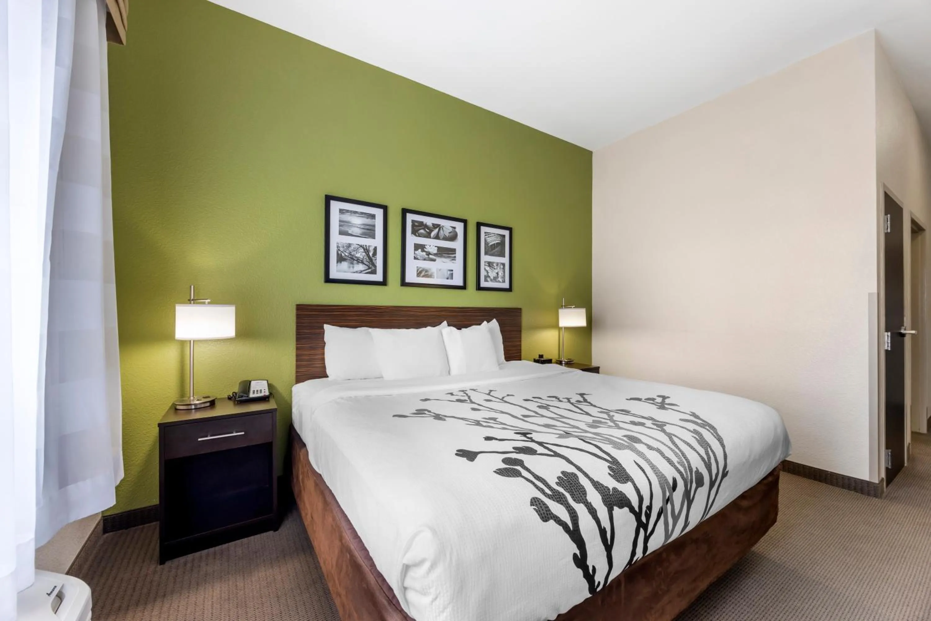 Bed in Sleep Inn & Suites Columbia