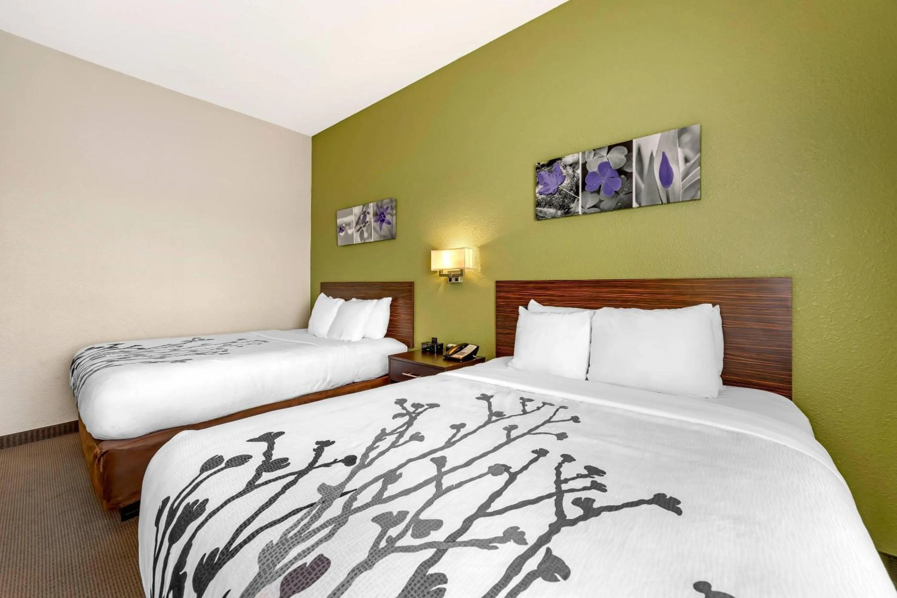 Bedroom, Bed in Sleep Inn & Suites Columbia